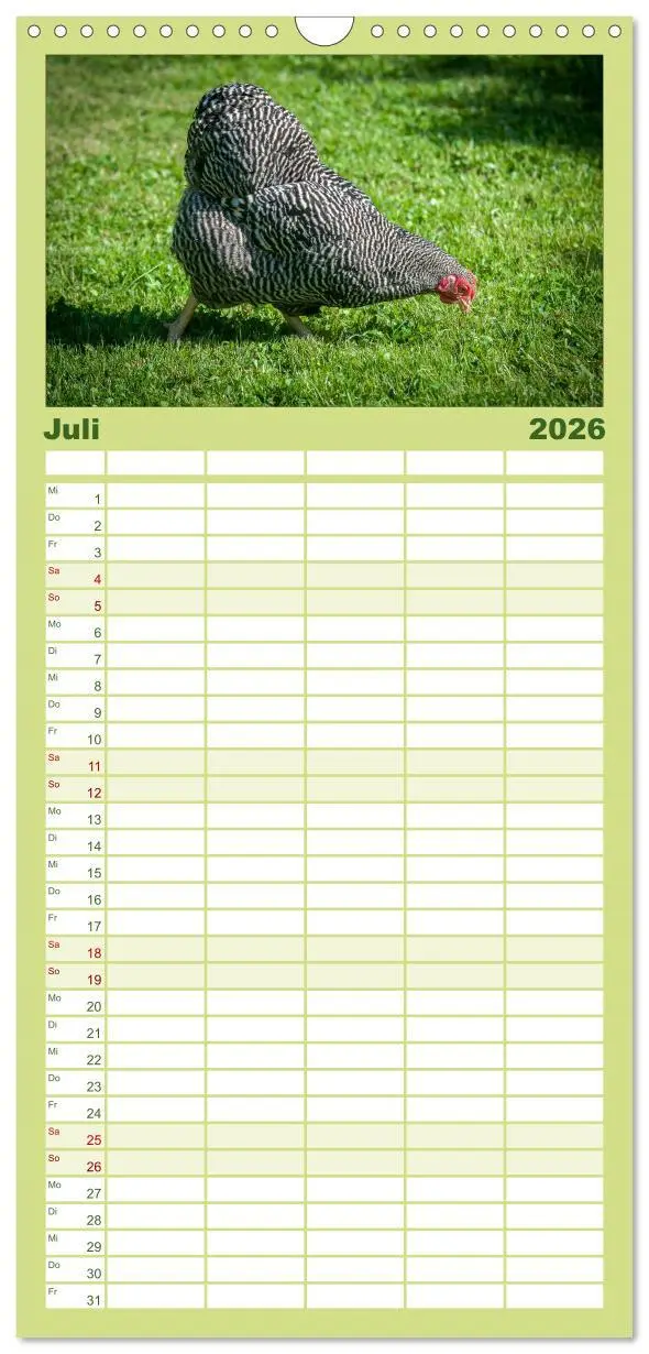 Bild: 9783516517170 | Familienplaner 2026 - Gartenhühner mit 5 Spalten (Wandkalender, 21...