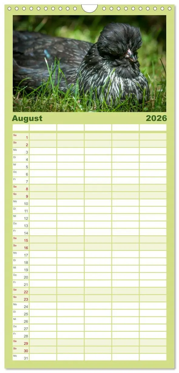 Bild: 9783516517170 | Familienplaner 2026 - Gartenhühner mit 5 Spalten (Wandkalender, 21...