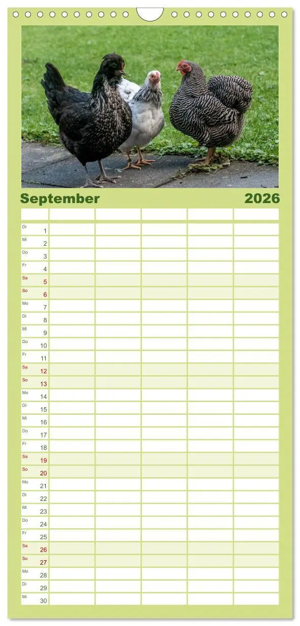 Bild: 9783516517170 | Familienplaner 2026 - Gartenhühner mit 5 Spalten (Wandkalender, 21...