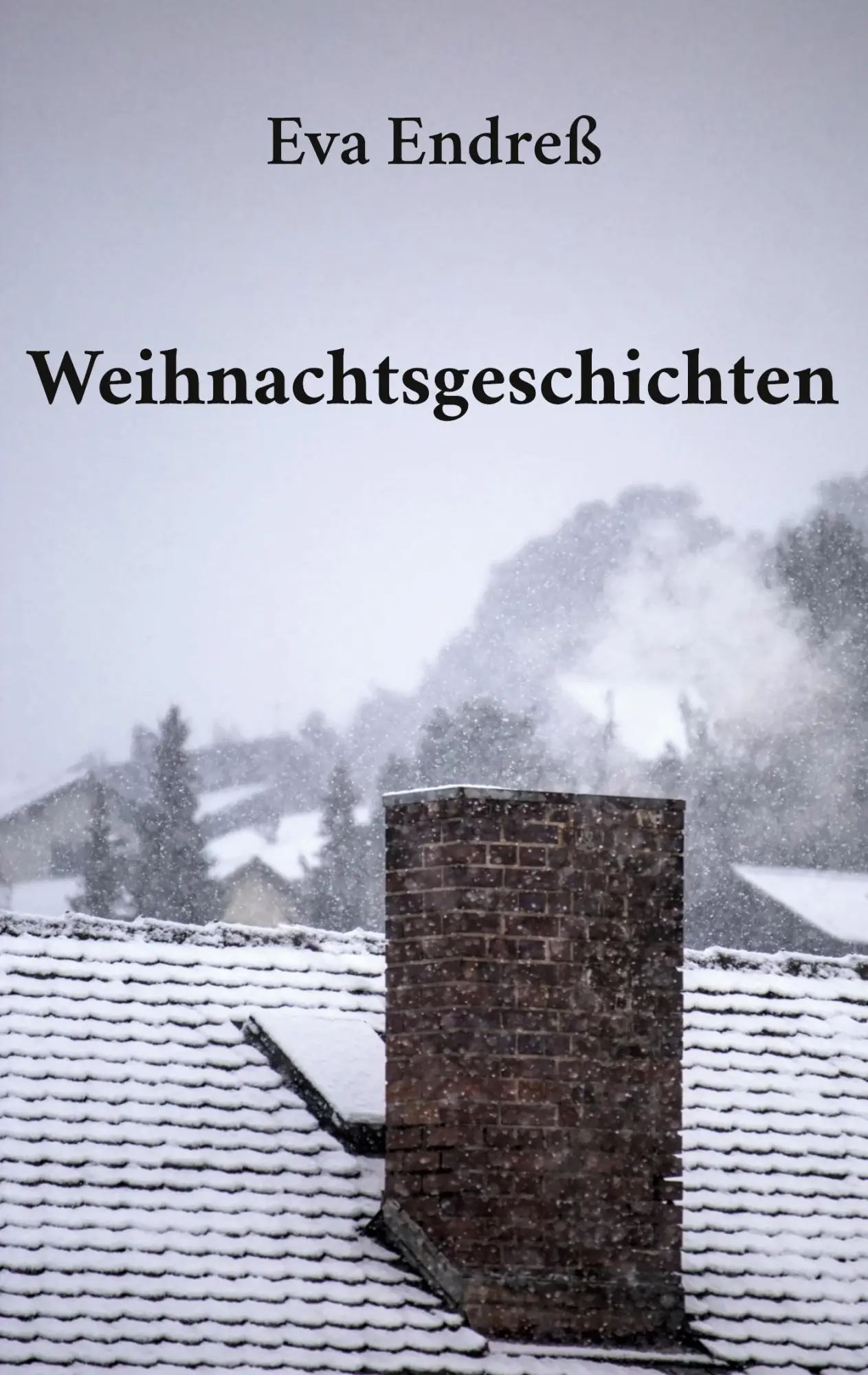 Cover: 9783755727170 | Weihnachtsgeschichten | Eva Endreß | Taschenbuch | Paperback | 132 S.