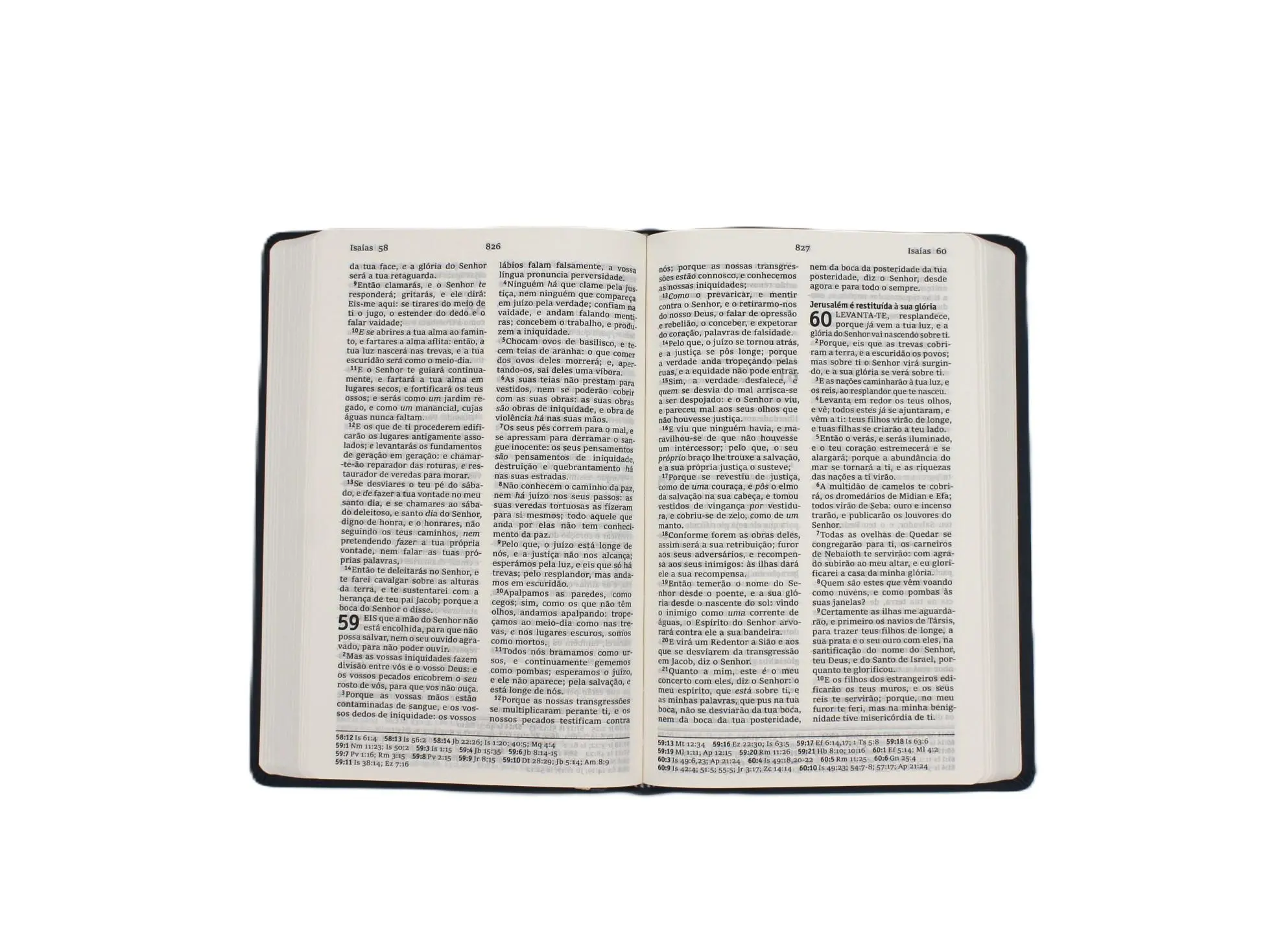 Bild: 9783438087270 | Bibel - traditionelle Übersetzung. Portugiesisch "Almeida" | Almeida