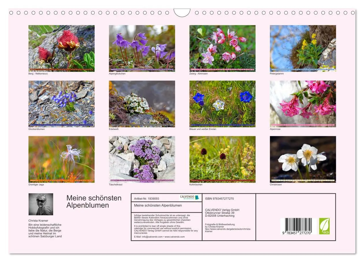 Bild: 9783457277270 | Meine schönsten Alpenblumen (Wandkalender 2026 DIN A3 quer),...