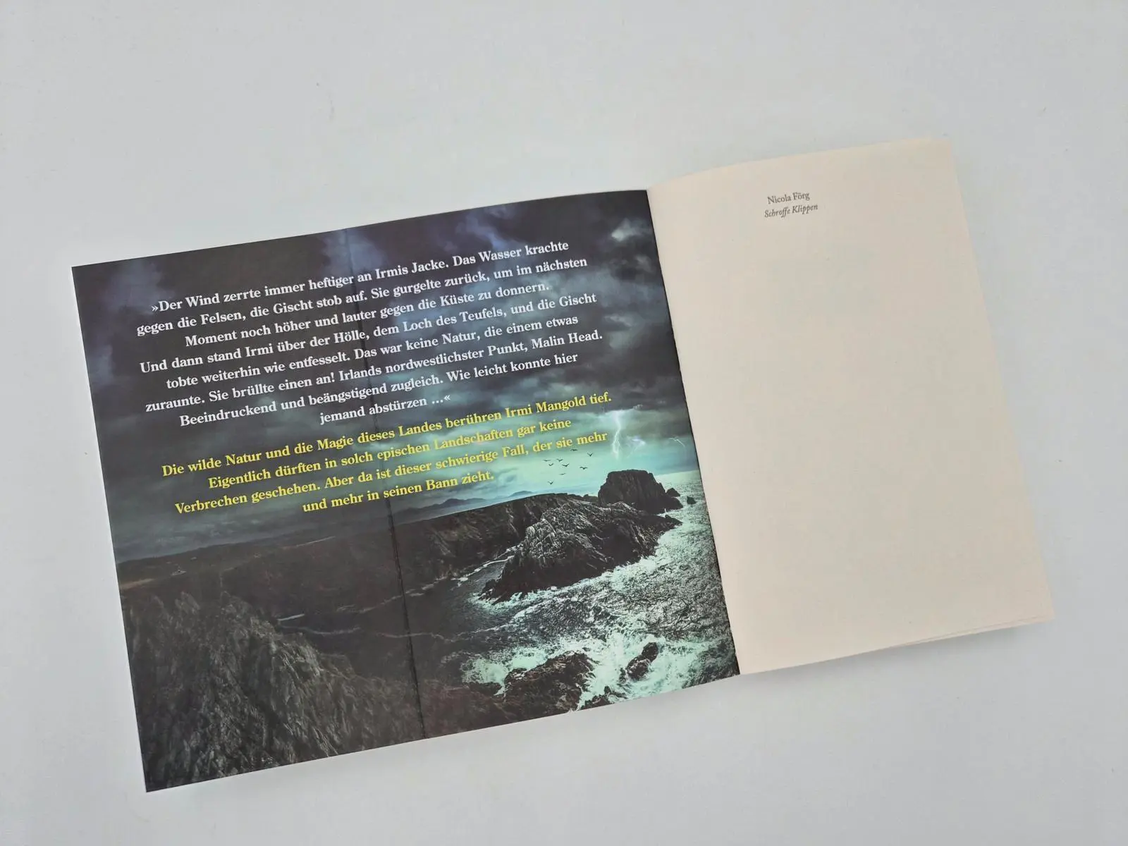 Bild: 9783492067270 | Schroffe Klippen | Nicola Förg | Taschenbuch | Alpen-Krimis | 320 S.