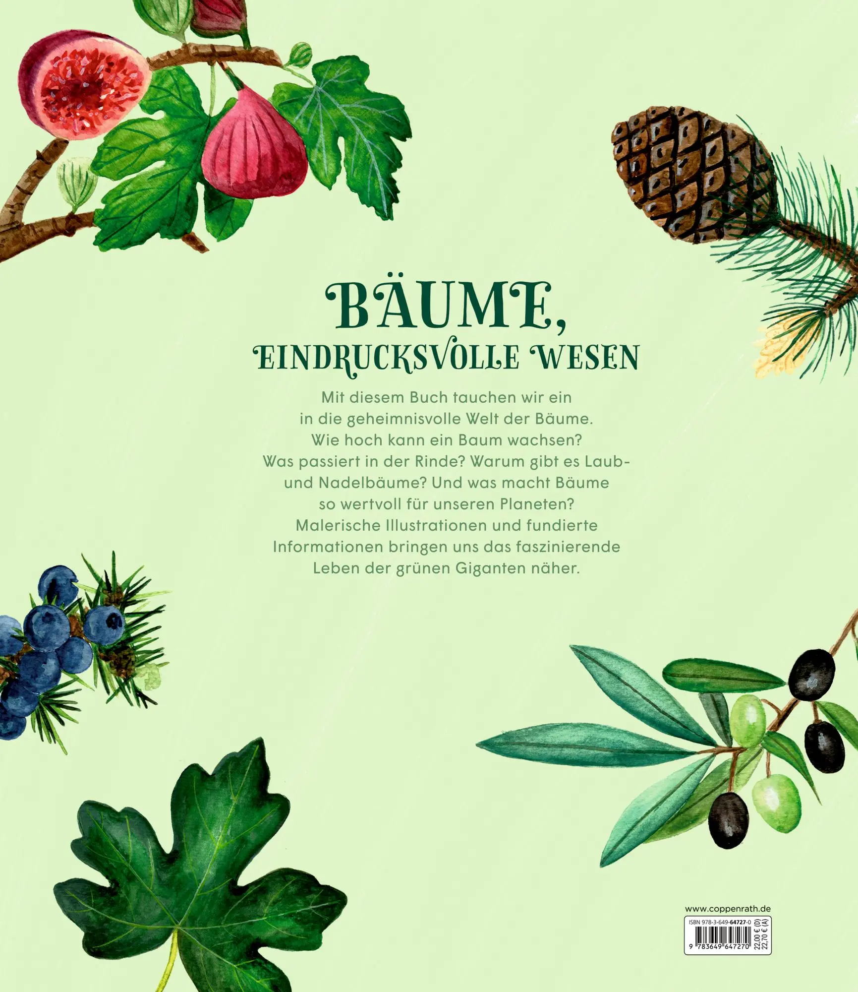Rückseite: 9783649647270 | Die geheime Welt der Bäume | Ein Sachbilderbuch | Laura Fraile | Buch