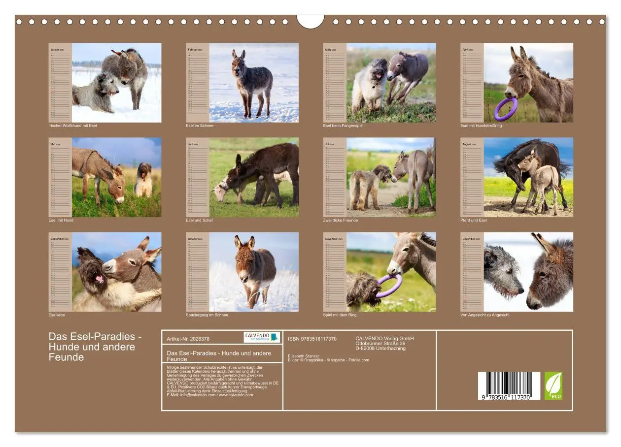 Bild: 9783516117370 | Das Esel-Paradies - Hunde und andere Feunde (Wandkalender 2026 DIN...