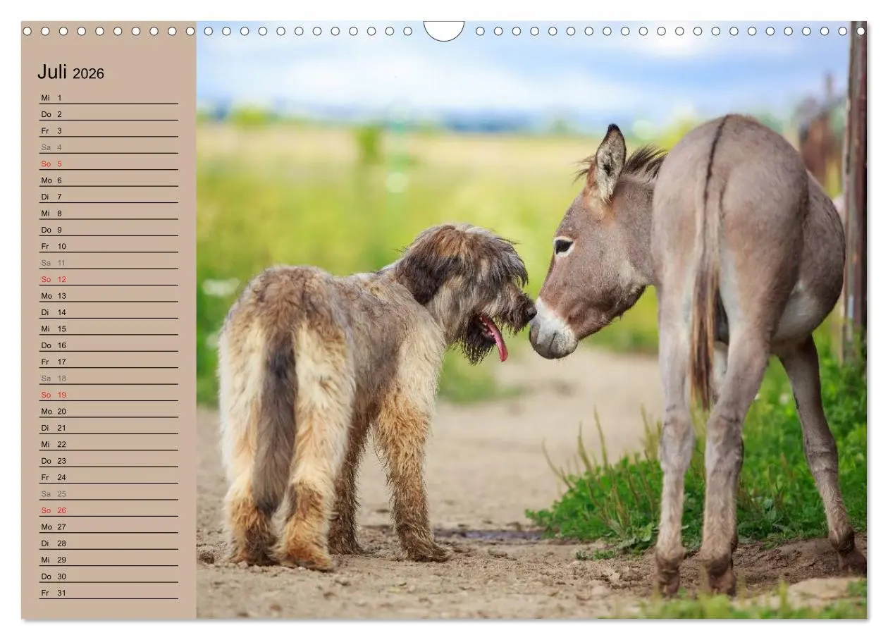 Bild: 9783516117370 | Das Esel-Paradies - Hunde und andere Feunde (Wandkalender 2026 DIN...