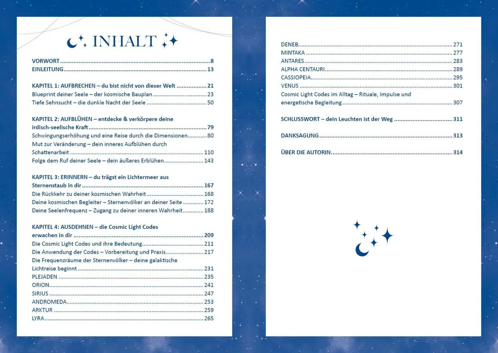 Bild: 9783747407370 | Cosmic Light Codes - Deine Verbindung zu höheren Dimensionen | Buch