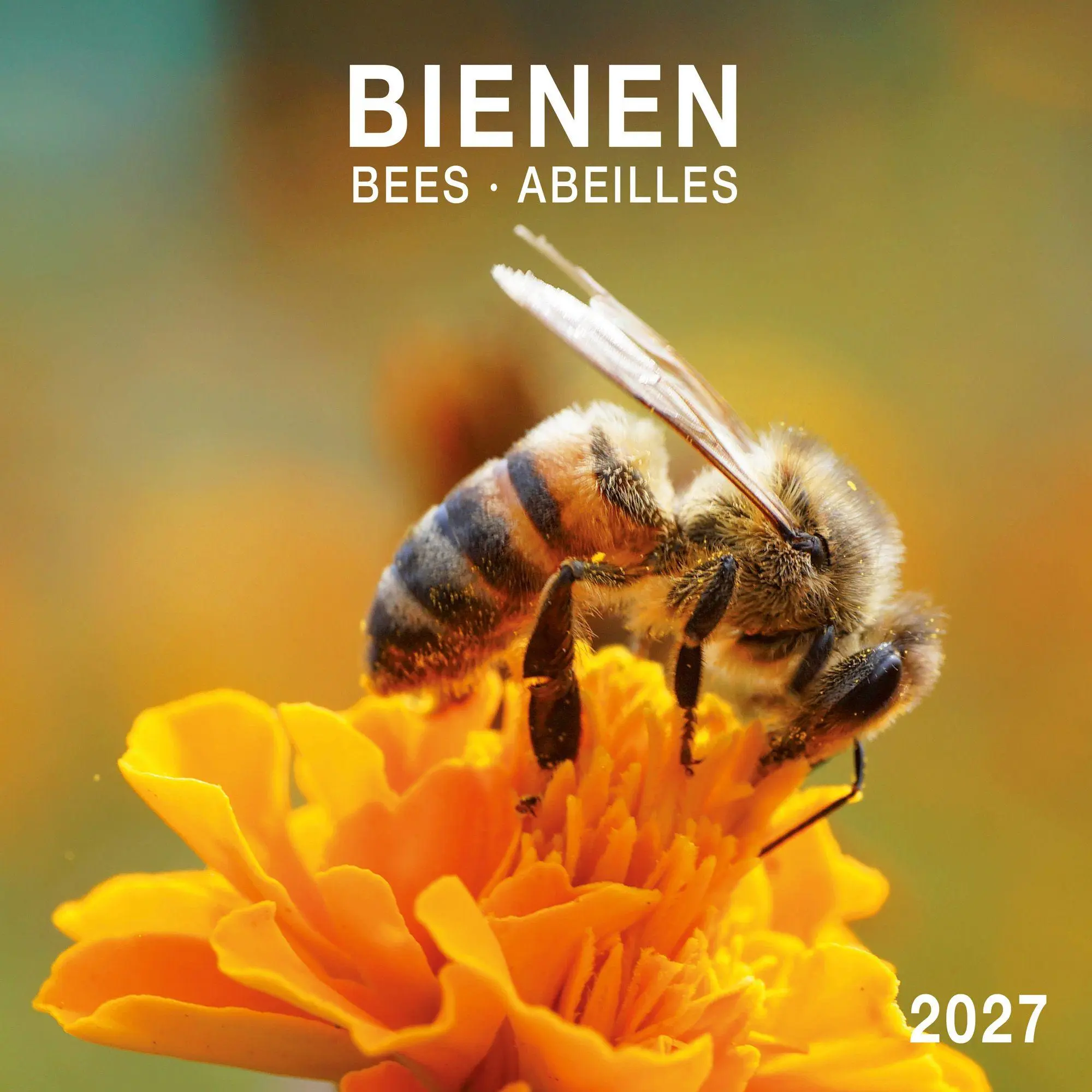 Cover: 9783959297370 | Bienen / Bees 2027 | Kalender 2027 | Kalender | Artwork Edition | 2027