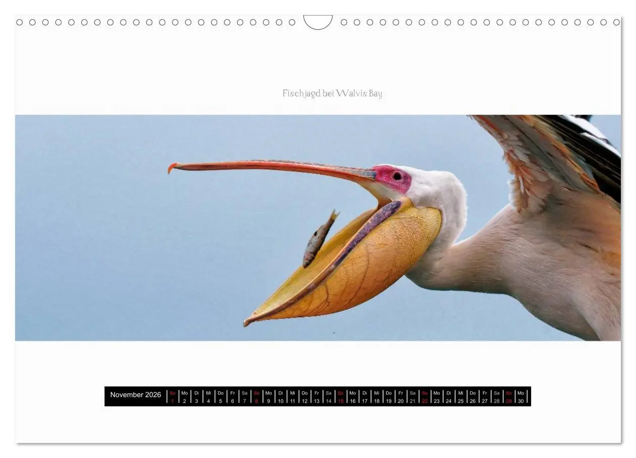 Bild: 9783516037470 | Namibia - Panoramen (Wandkalender 2026 DIN A3 quer), CALVENDO...