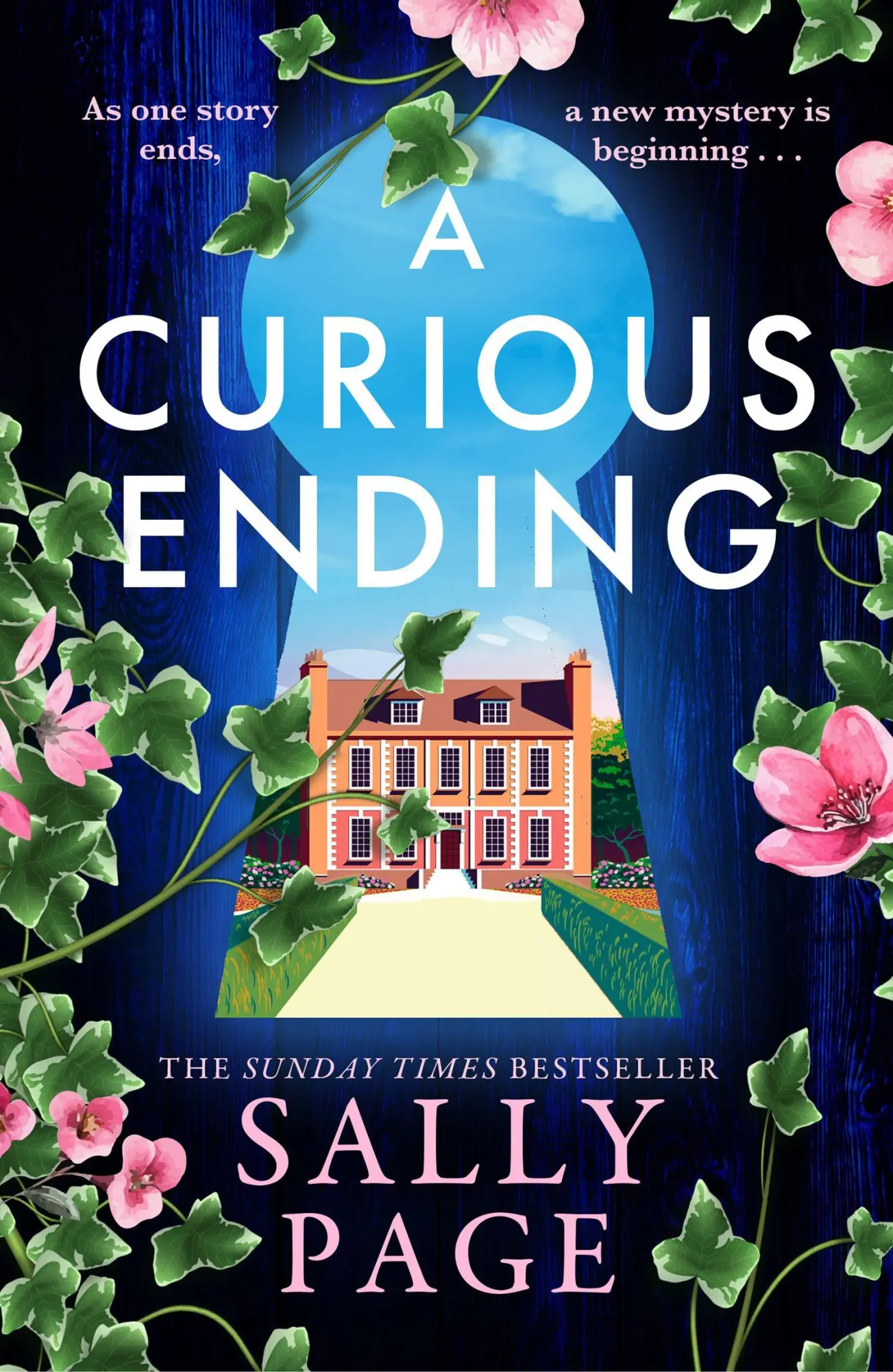 Cover: 9780008767570 | A Curious Ending | Sally Page | Taschenbuch | 416 S. | Englisch | 2026
