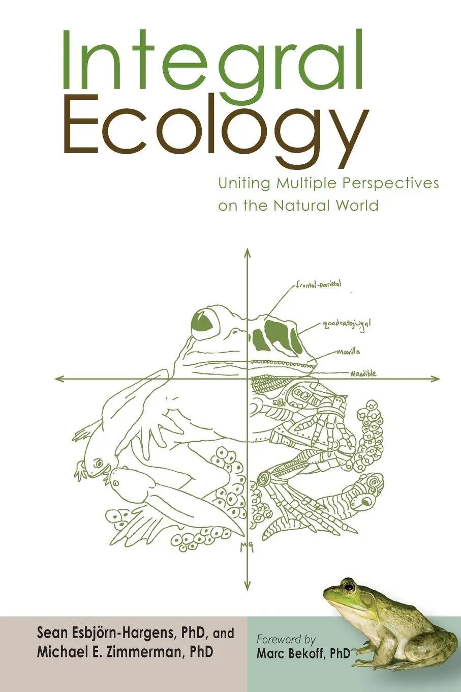 Cover: 9781590307670 | Integral Ecology | Uniting Multiple Perspectives on the Natural World