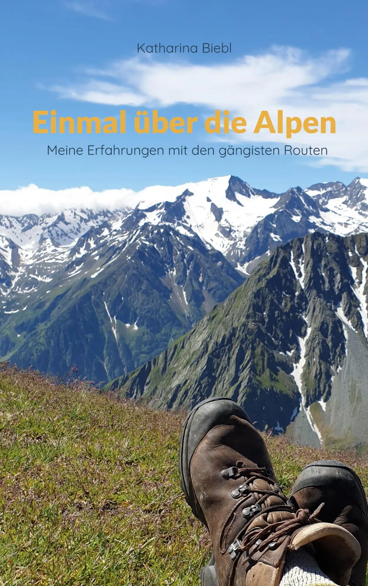 Cover: 9783696377670 | Einmal über die Alpen | Meine Erfahrungen mit den gängisten Routen