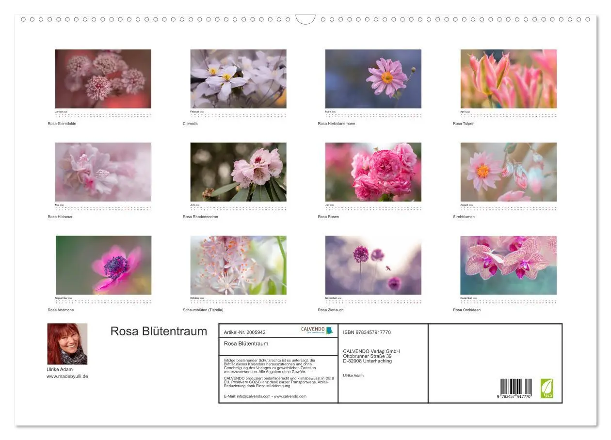 Bild: 9783457917770 | Rosa Blütentraum (Wandkalender 2026 DIN A2 quer), CALVENDO...