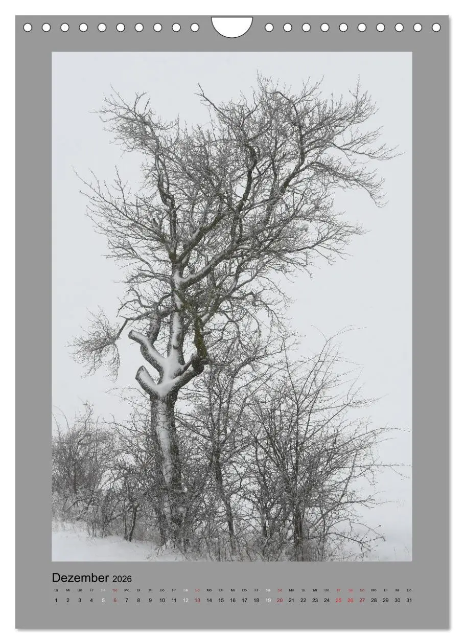Bild: 9783516487770 | Jahreszeiten (Wandkalender 2026 DIN A4 hoch), CALVENDO Monatskalender
