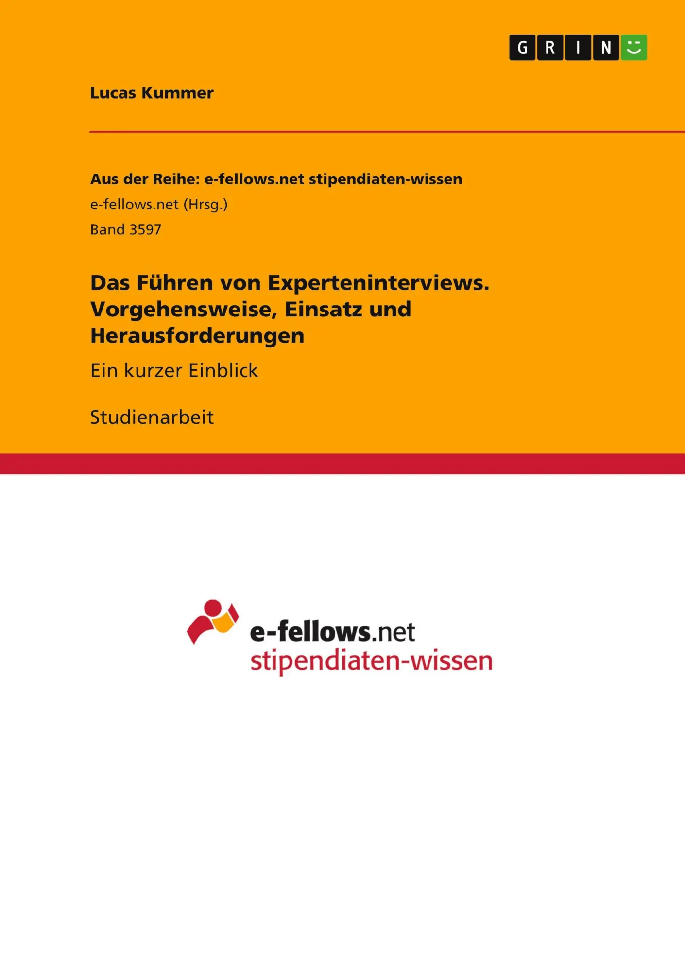 Cover: 9783346267870 | Das Führen von Experteninterviews. Vorgehensweise, Einsatz und...