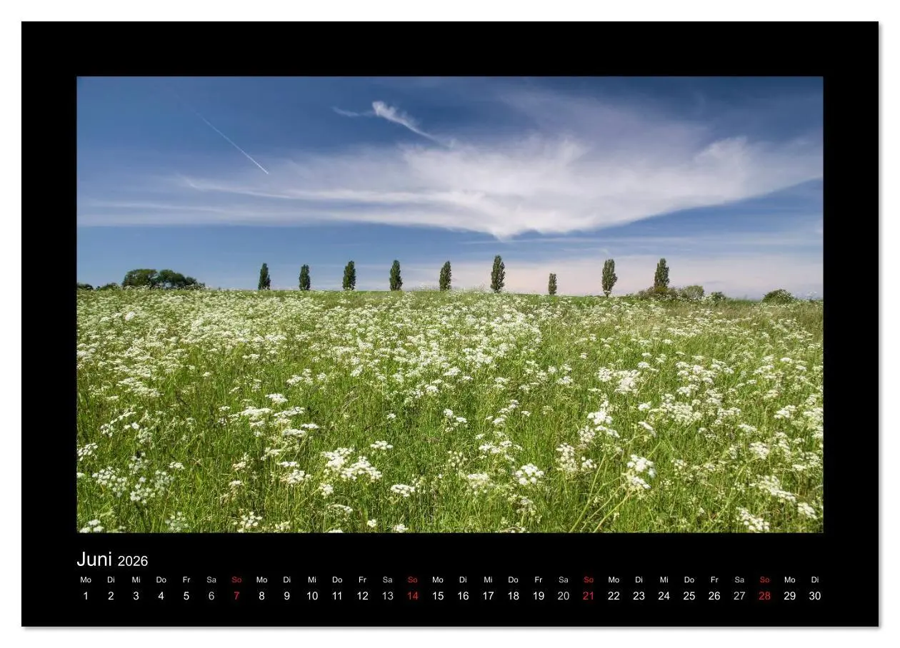 Bild: 9783516167870 | Die Farben Bornholms (Wandkalender 2026 DIN A4 quer), CALVENDO...