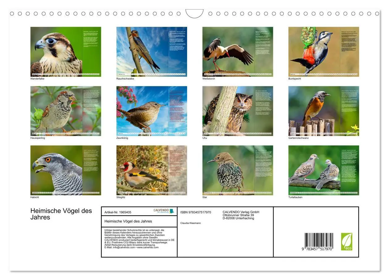 Bild: 9783457517970 | Heimische Vögel des Jahres (Wandkalender 2026 DIN A3 quer),...