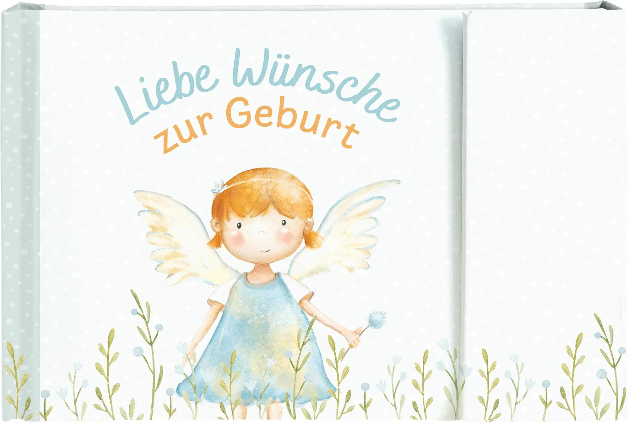 Cover: 9783766637970 | Liebe Wünsche zur Geburt | Geldgeschenkbuch | Taschenbuch | 10 S.