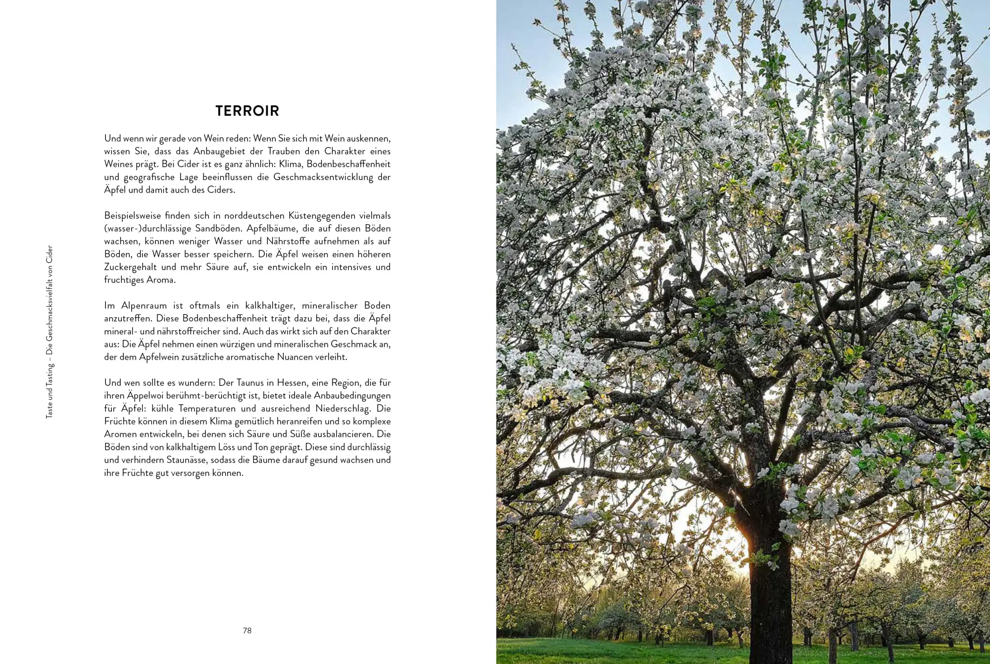 Bild: 9783959617970 | Cider | Petra Milde | Buch | 192 S. | Deutsch | 2023