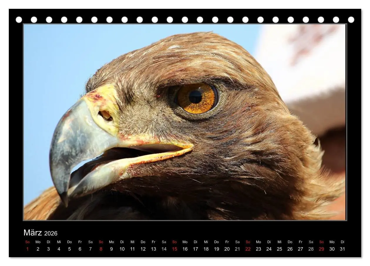 Bild: 9783457958070 | Unbekanntes Kirgistan (Tischkalender 2026 DIN A5 quer), CALVENDO...