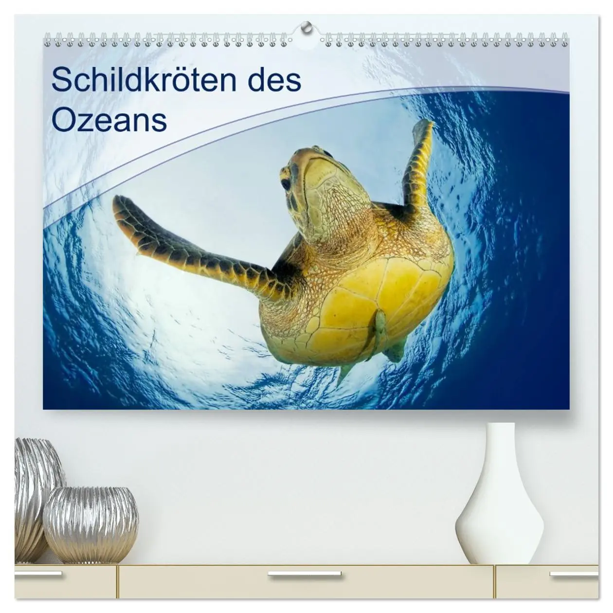 Cover: 9783516048070 | Schildkröten des Ozeans (hochwertiger Premium Wandkalender 2026 DIN...