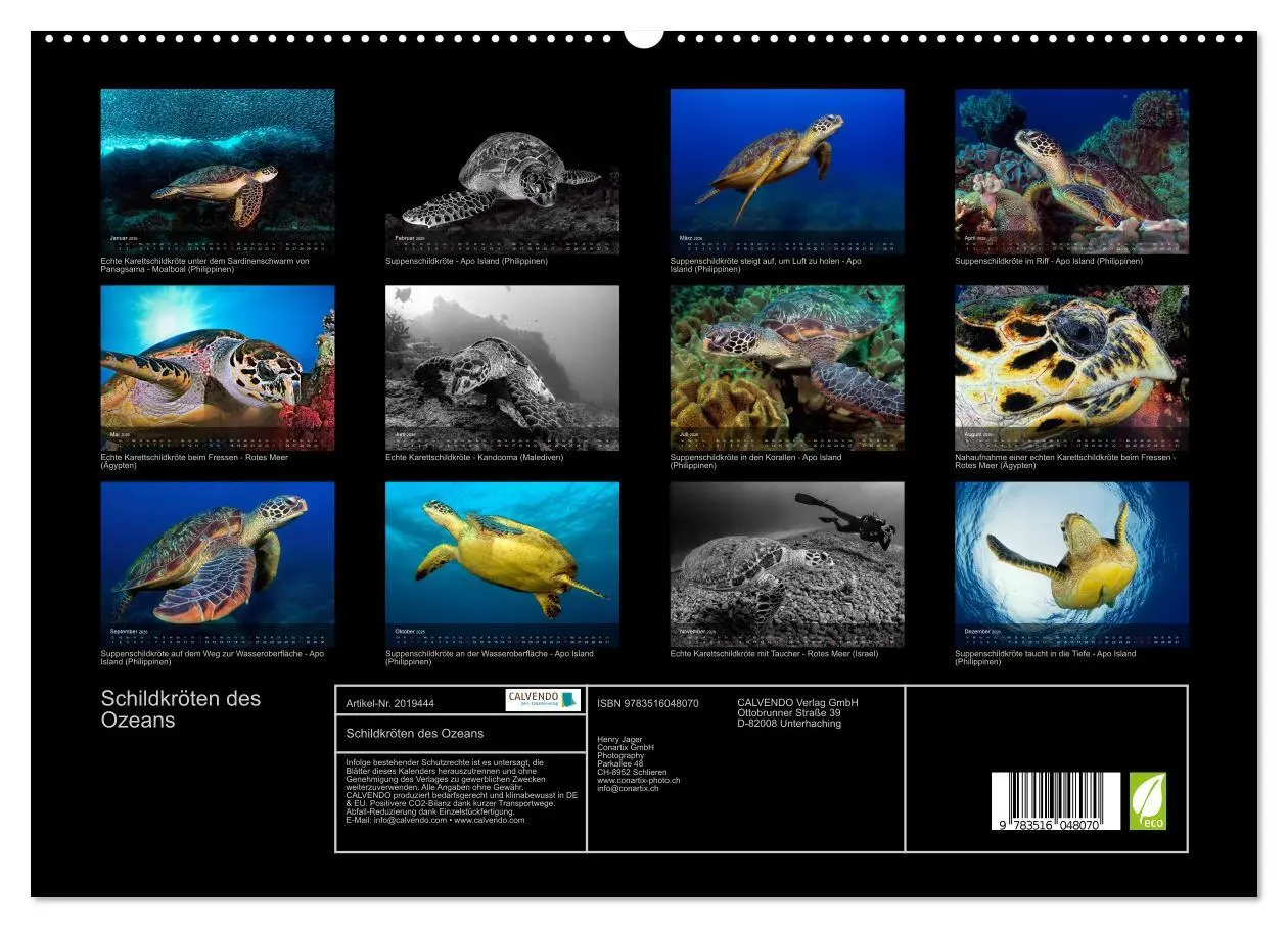 Bild: 9783516048070 | Schildkröten des Ozeans (hochwertiger Premium Wandkalender 2026 DIN...