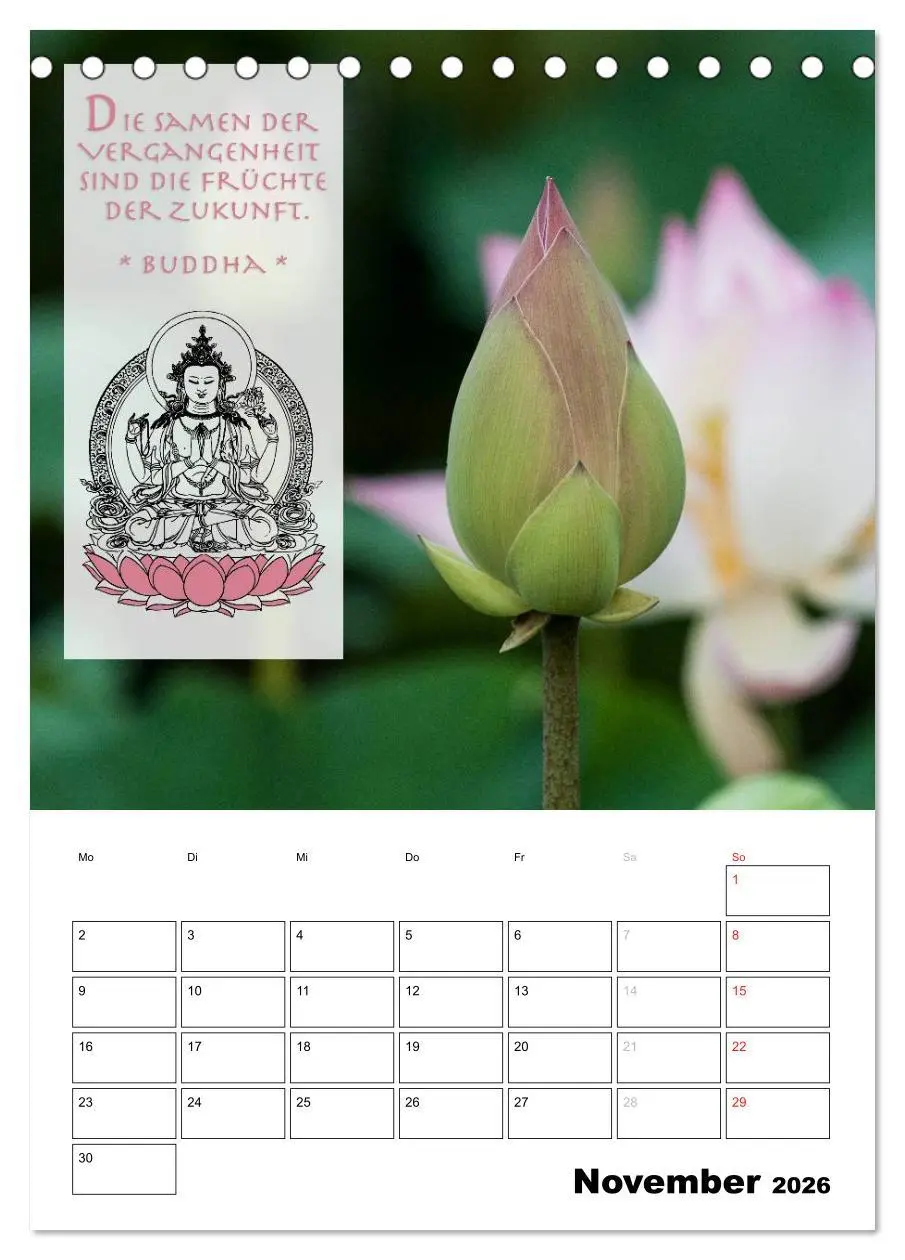 Bild: 9783516428070 | BUDDHAS ZITATE Buddhistische Weisheiten (Tischkalender 2026 DIN A5...