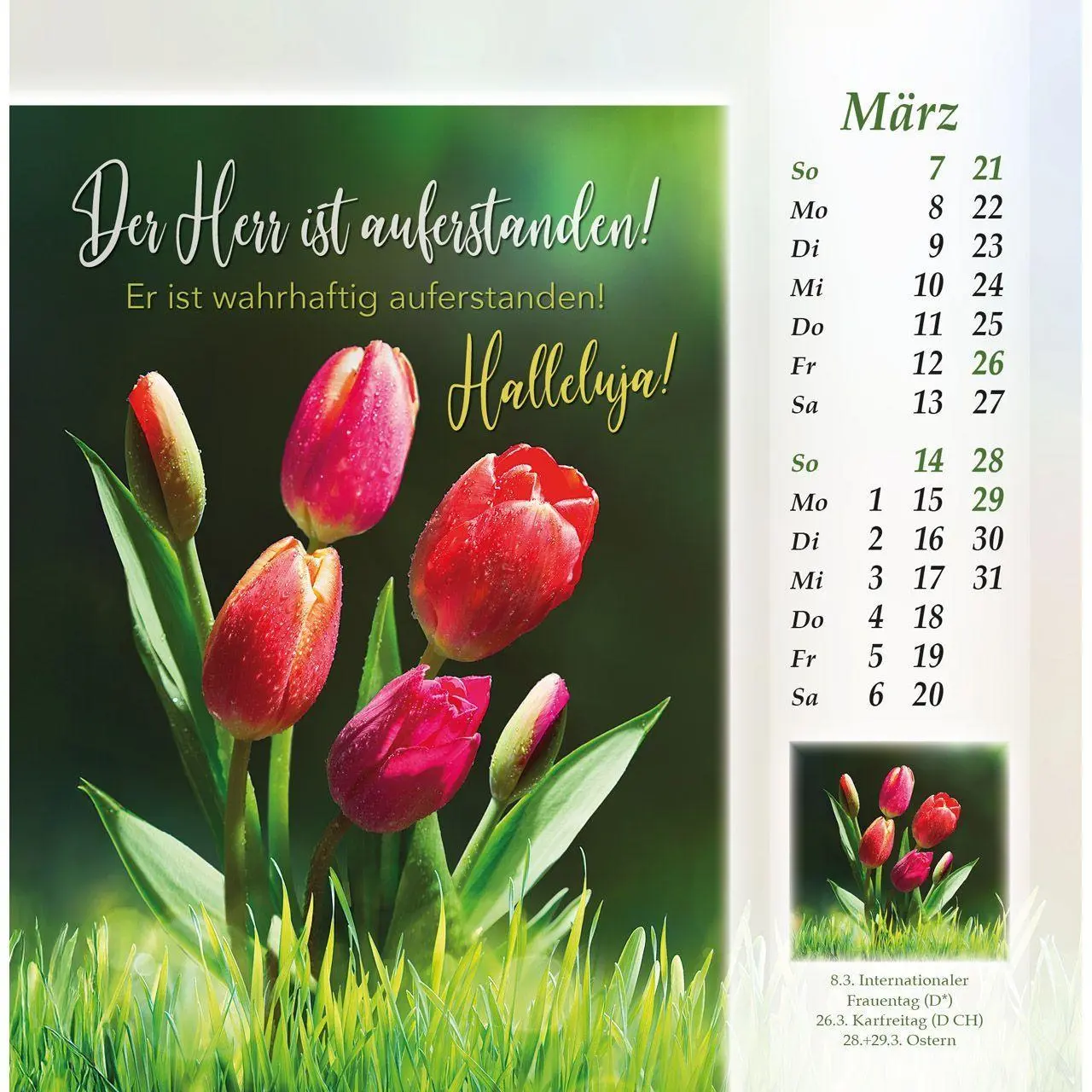 Bild: 9783754888070 | Licht vom unerschöpften Lichte 2027 | Kalender | 14 S. | Deutsch