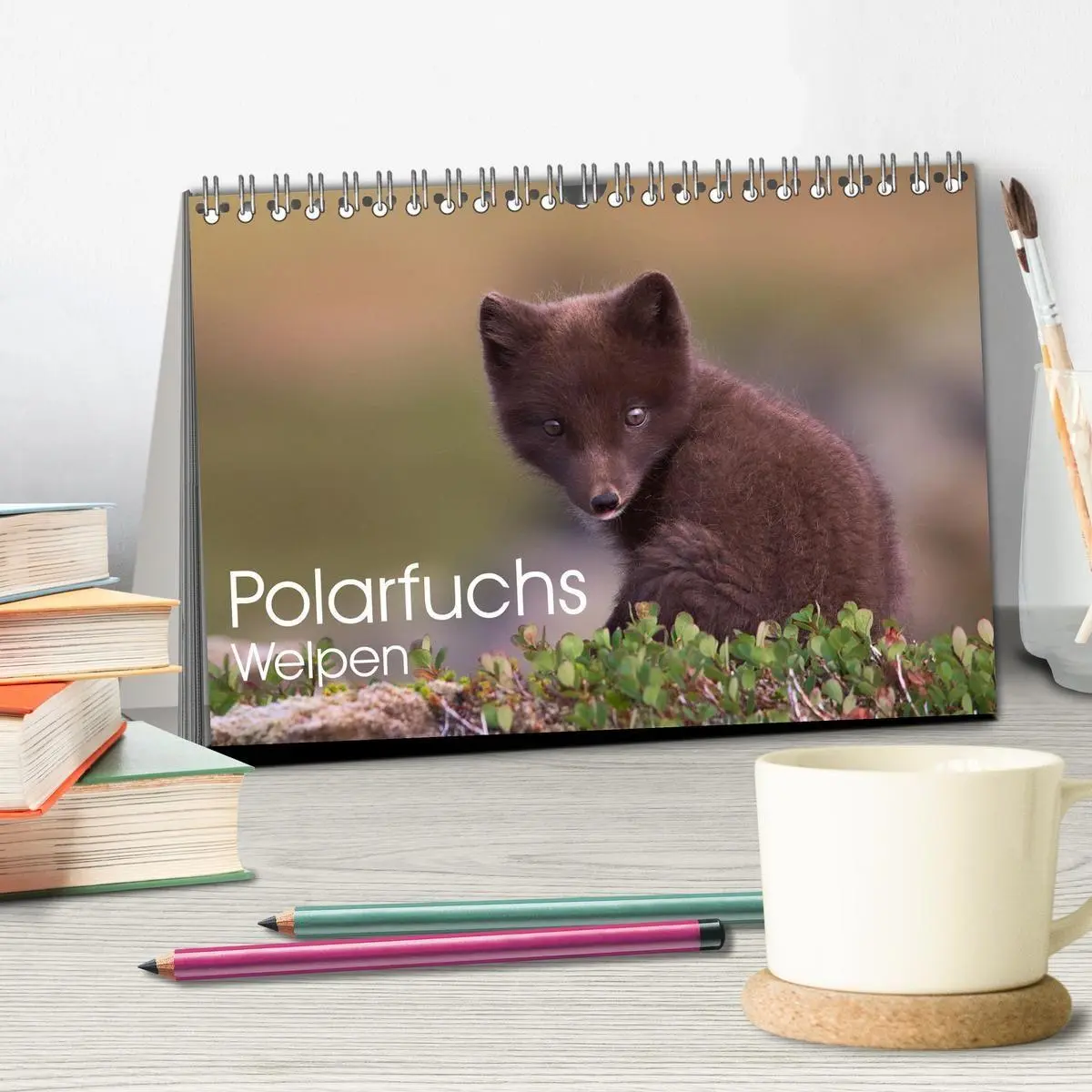 Bild: 9783516658170 | Polarfuchs-Welpen (Tischkalender 2026 DIN A5 quer), CALVENDO...