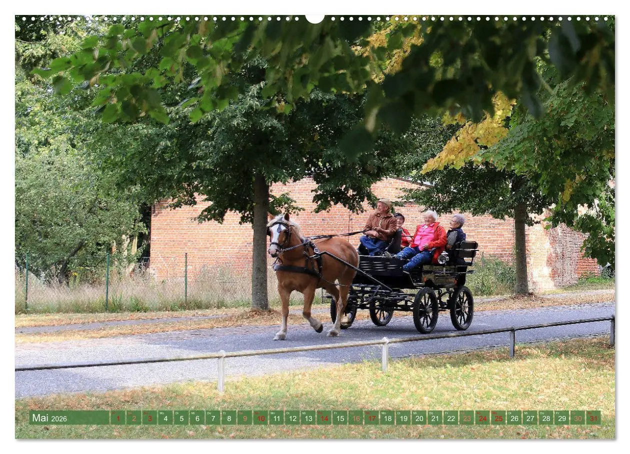 Bild: 9783457248270 | Brandenburg - Schöne Ausflugsziele nördlich von Berlin...