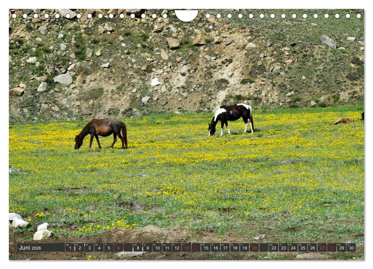 Bild: 9783457318270 | Ladakh - Zanskar (Wandkalender 2026 DIN A4 quer), CALVENDO...