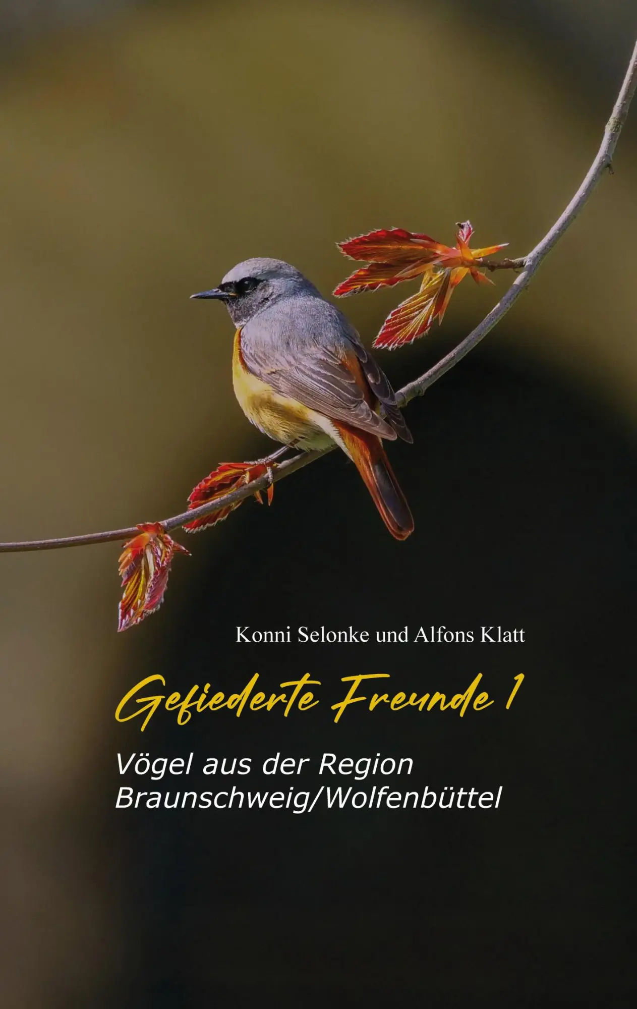 Cover: 9783819208270 | Gefiederte Freunde 1 | Vögel aus der Region Braunschweig/Wolfenbüttel