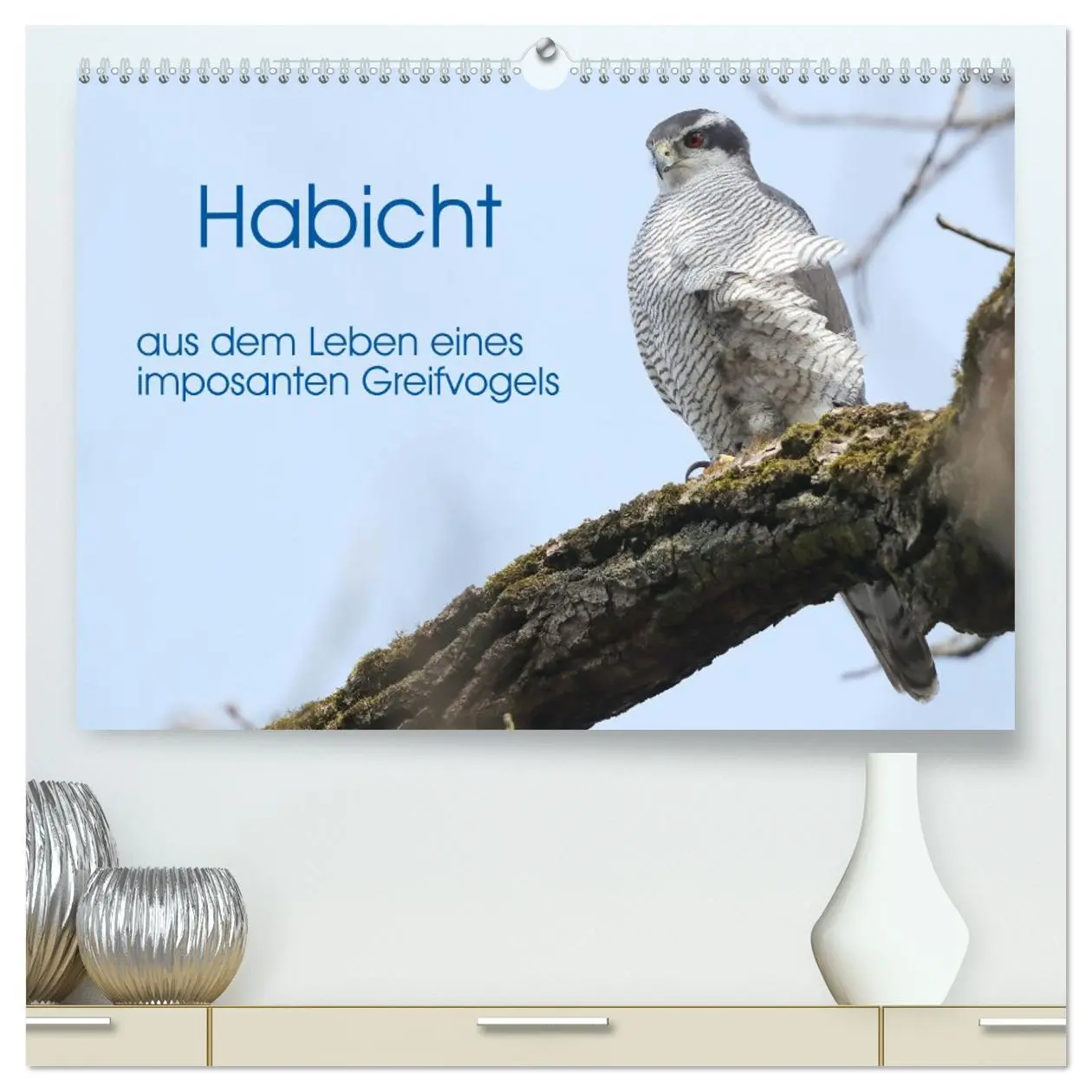 Cover: 9783457478370 | Habicht - aus dem Leben eines imposanten Greifvogels (hochwertiger...