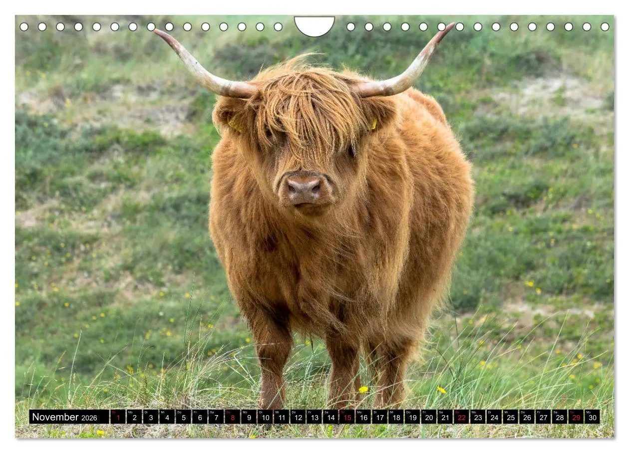 Bild: 9783457928370 | Egmond aan Zee - Natürlich (Wandkalender 2026 DIN A4 quer),...