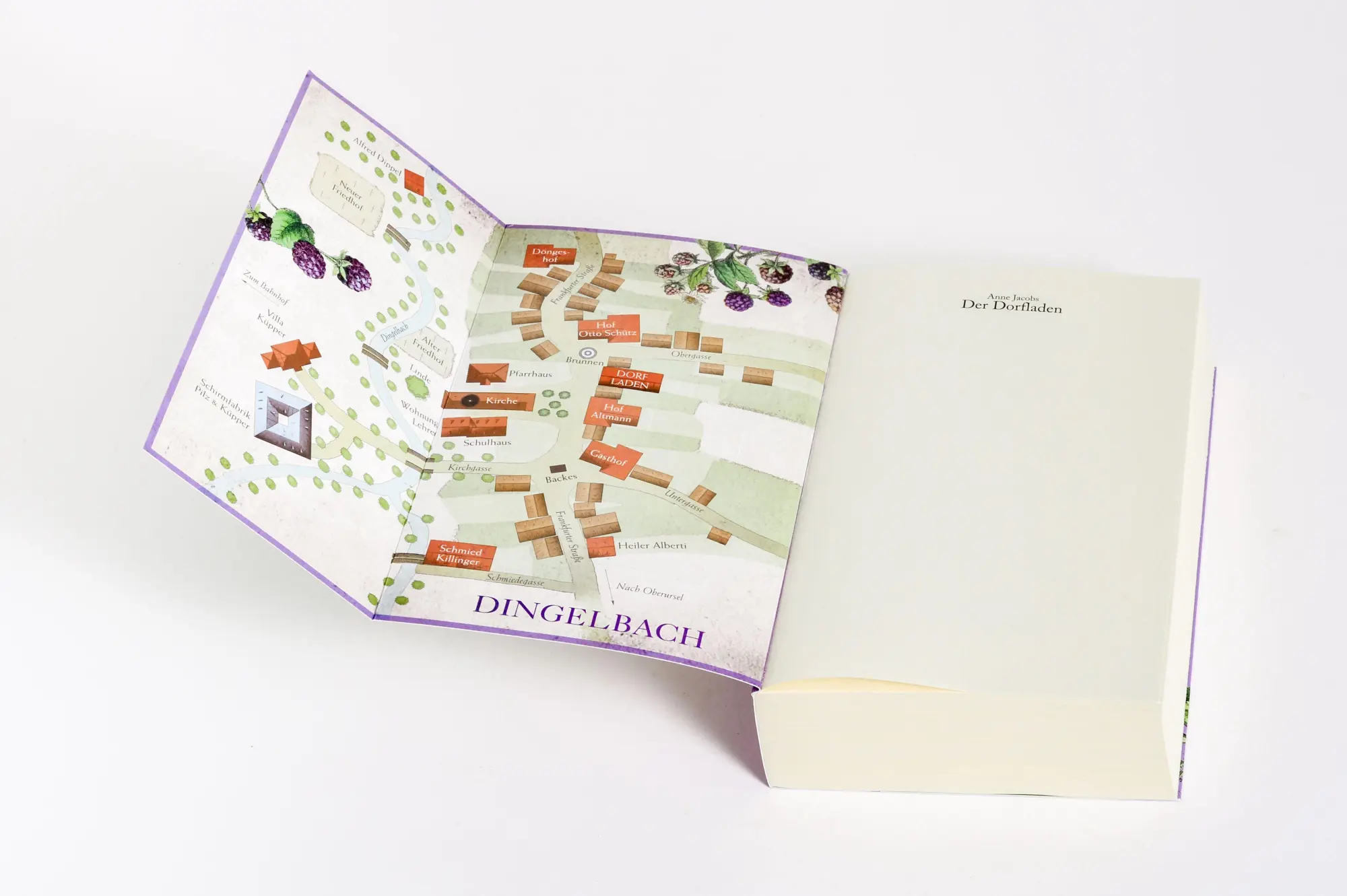 Bild: 9783764508470 | Der Dorfladen - Wie das Schicksal spielt | Roman | Anne Jacobs | Buch