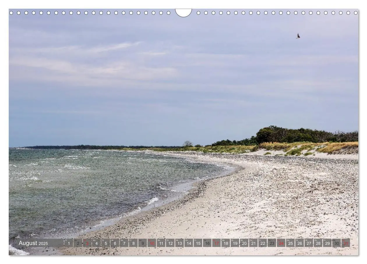 Bild: 9783435298570 | Fischland Darß Zingst - wie gemalt (Wandkalender 2025 DIN A3 quer),...
