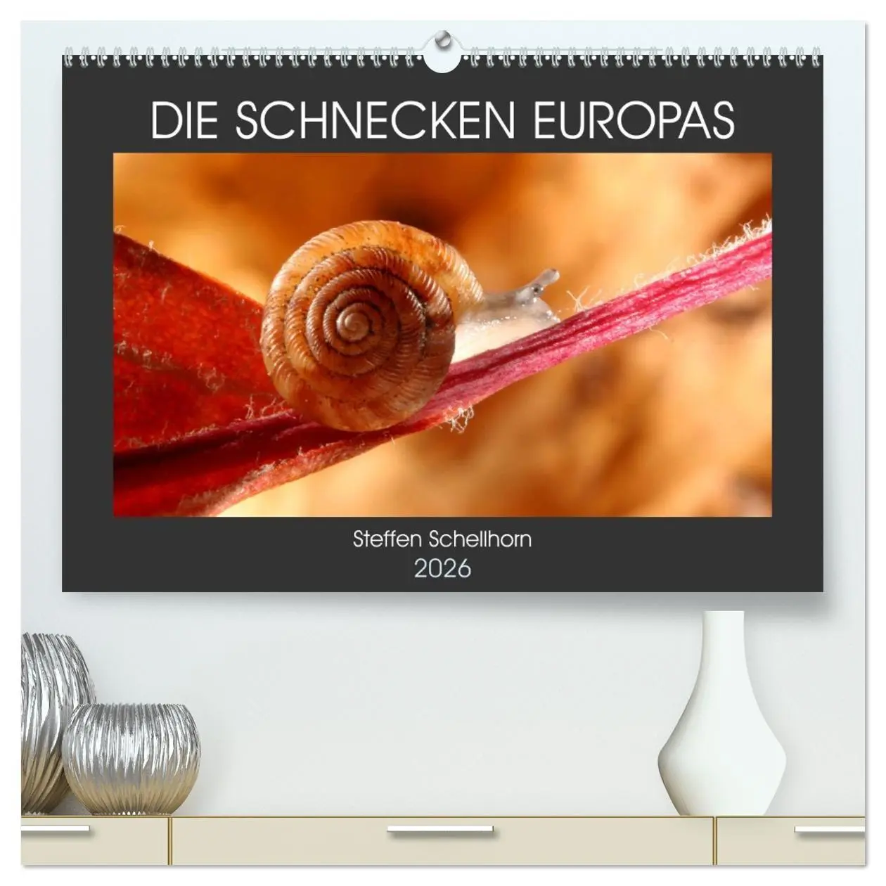 Cover: 9783457458570 | DIE SCHNECKEN EUROPAS (hochwertiger Premium Wandkalender 2026 DIN...