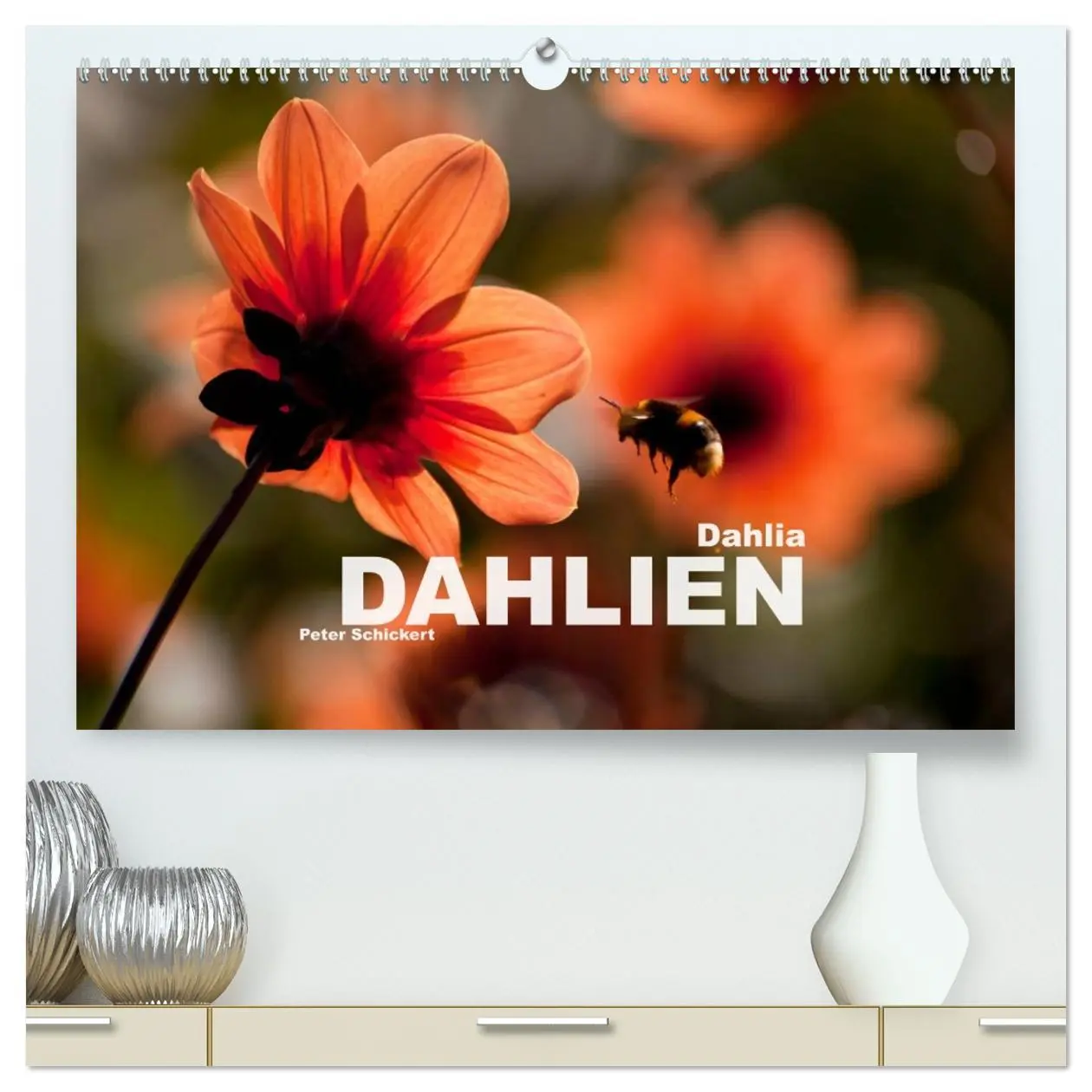 Cover: 9783516098570 | Dahlia - Dahlien (hochwertiger Premium Wandkalender 2026 DIN A2...