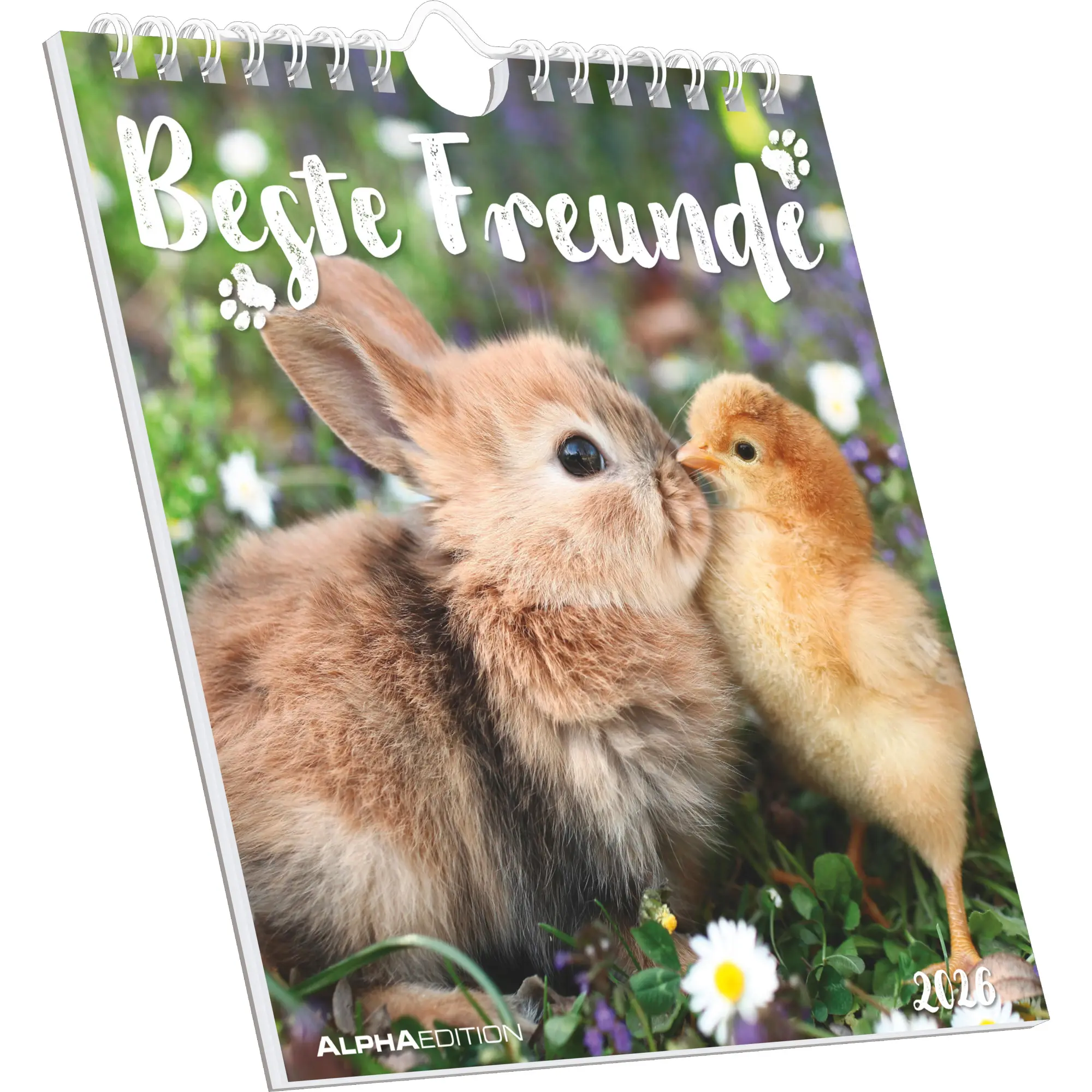 Cover: 4069095008670 | Beste Freunde 2026 - Postkartenkalender 16x17 cm | Kalender | 26 S.