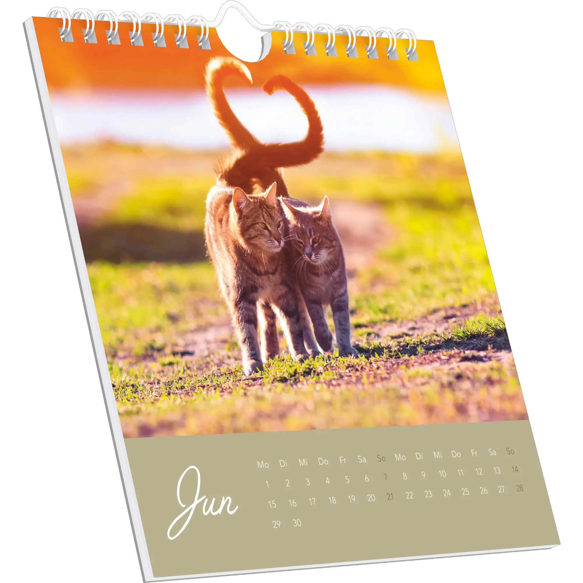 Bild: 4069095008670 | Beste Freunde 2026 - Postkartenkalender 16x17 cm | Kalender | 26 S.