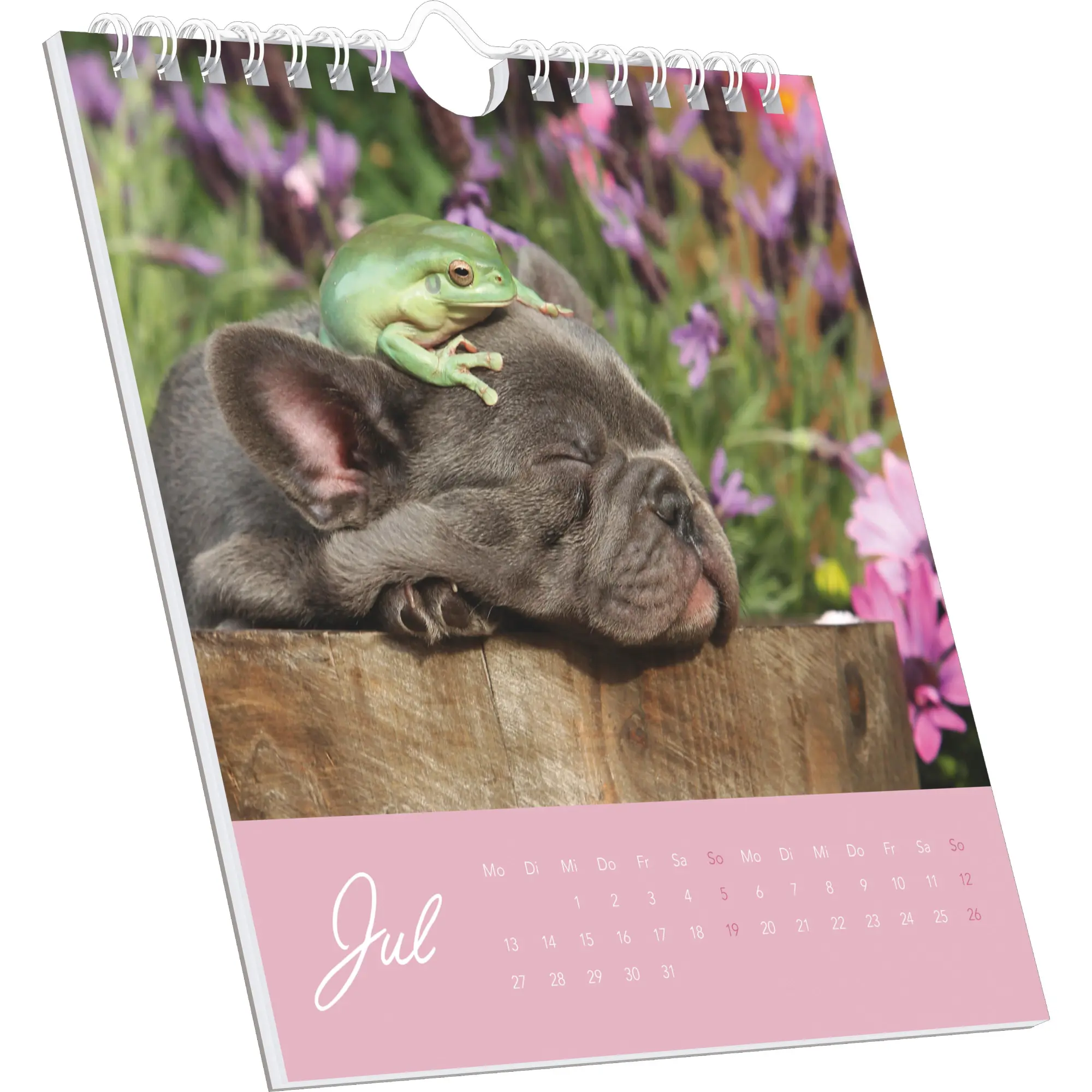 Bild: 4069095008670 | Beste Freunde 2026 - Postkartenkalender 16x17 cm | Kalender | 26 S.
