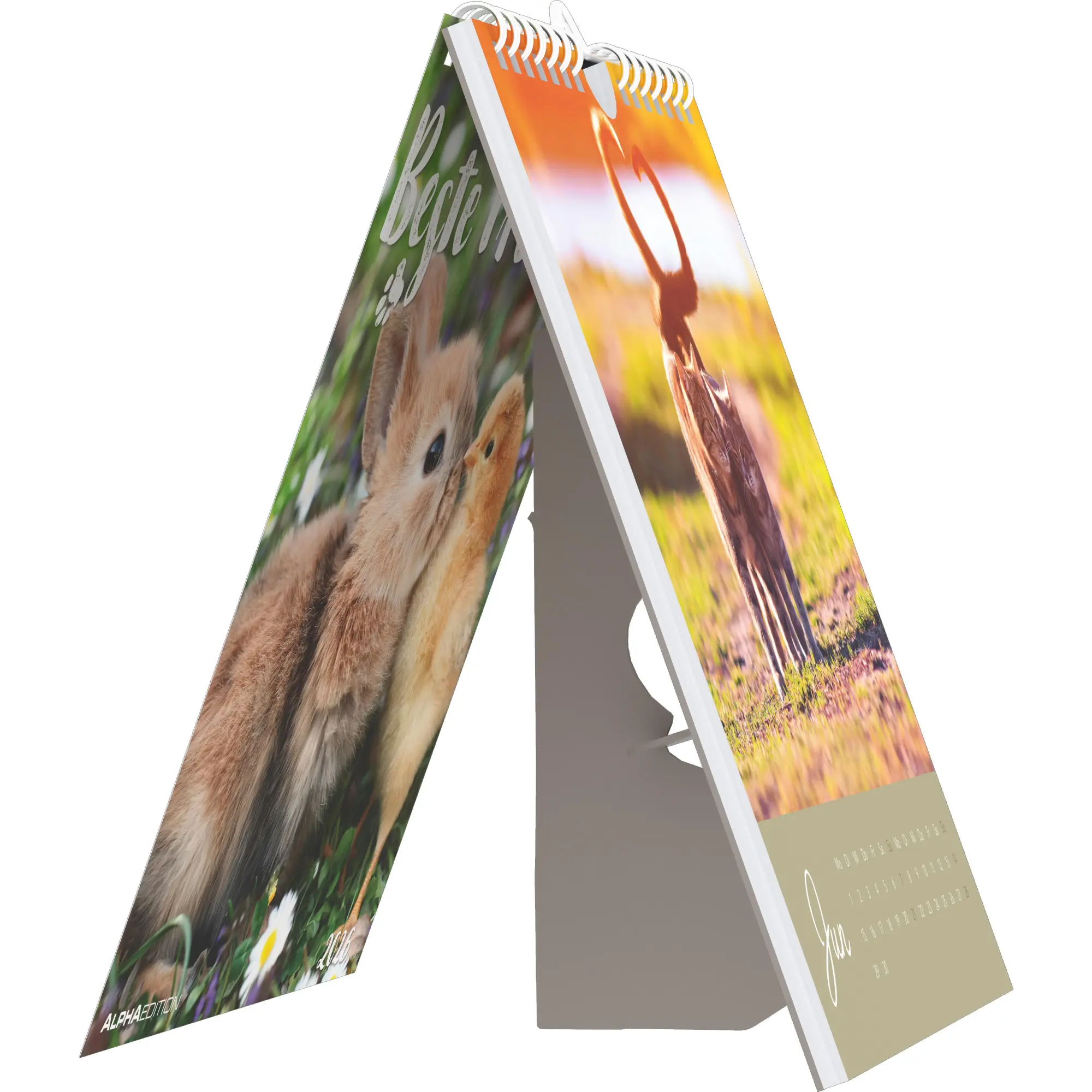 Bild: 4069095008670 | Beste Freunde 2026 - Postkartenkalender 16x17 cm | Kalender | 26 S.