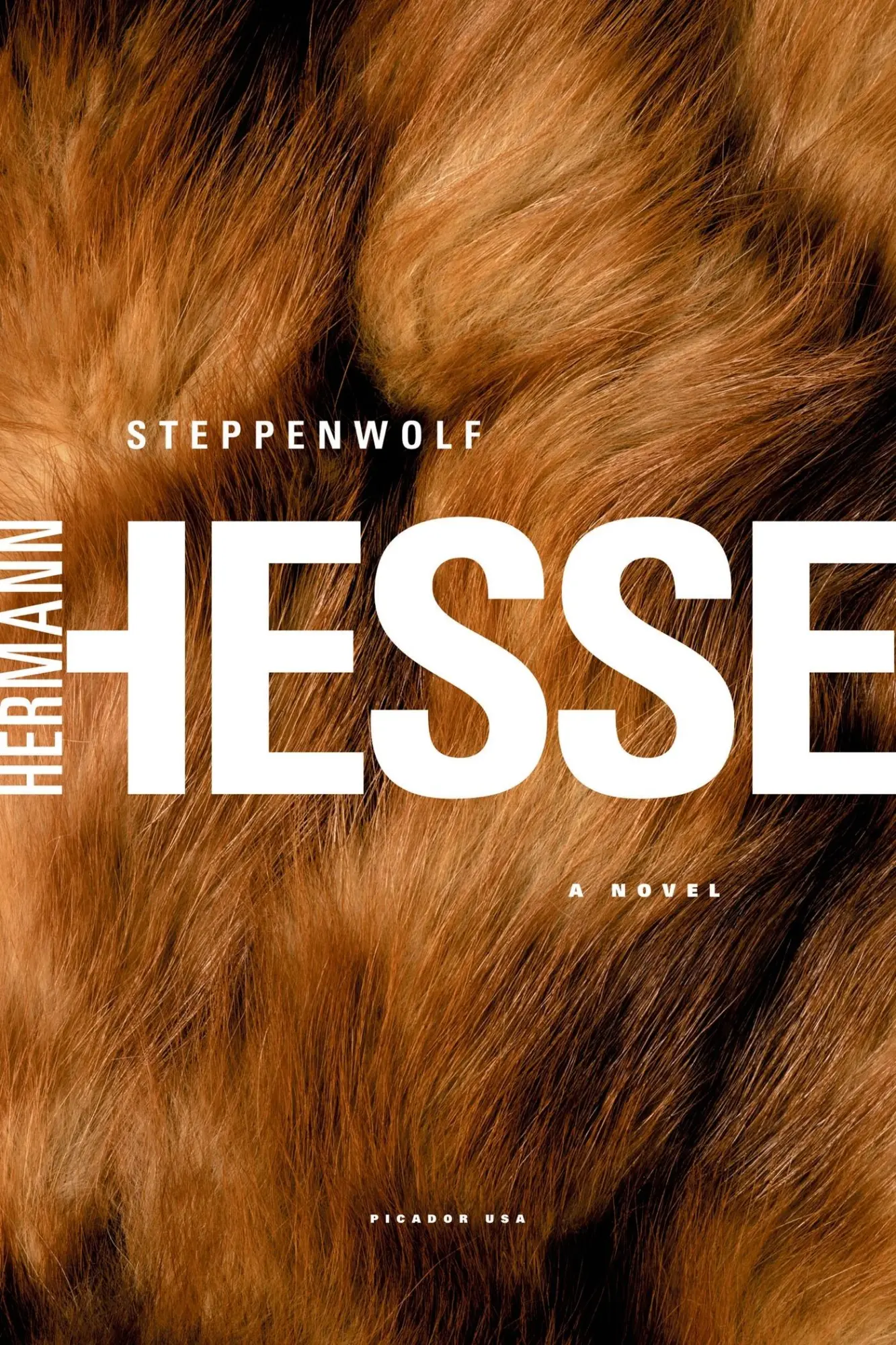 Cover: 9780312278670 | Steppenwolf | Hermann Hesse | Taschenbuch | Holt Paperbacks | Englisch