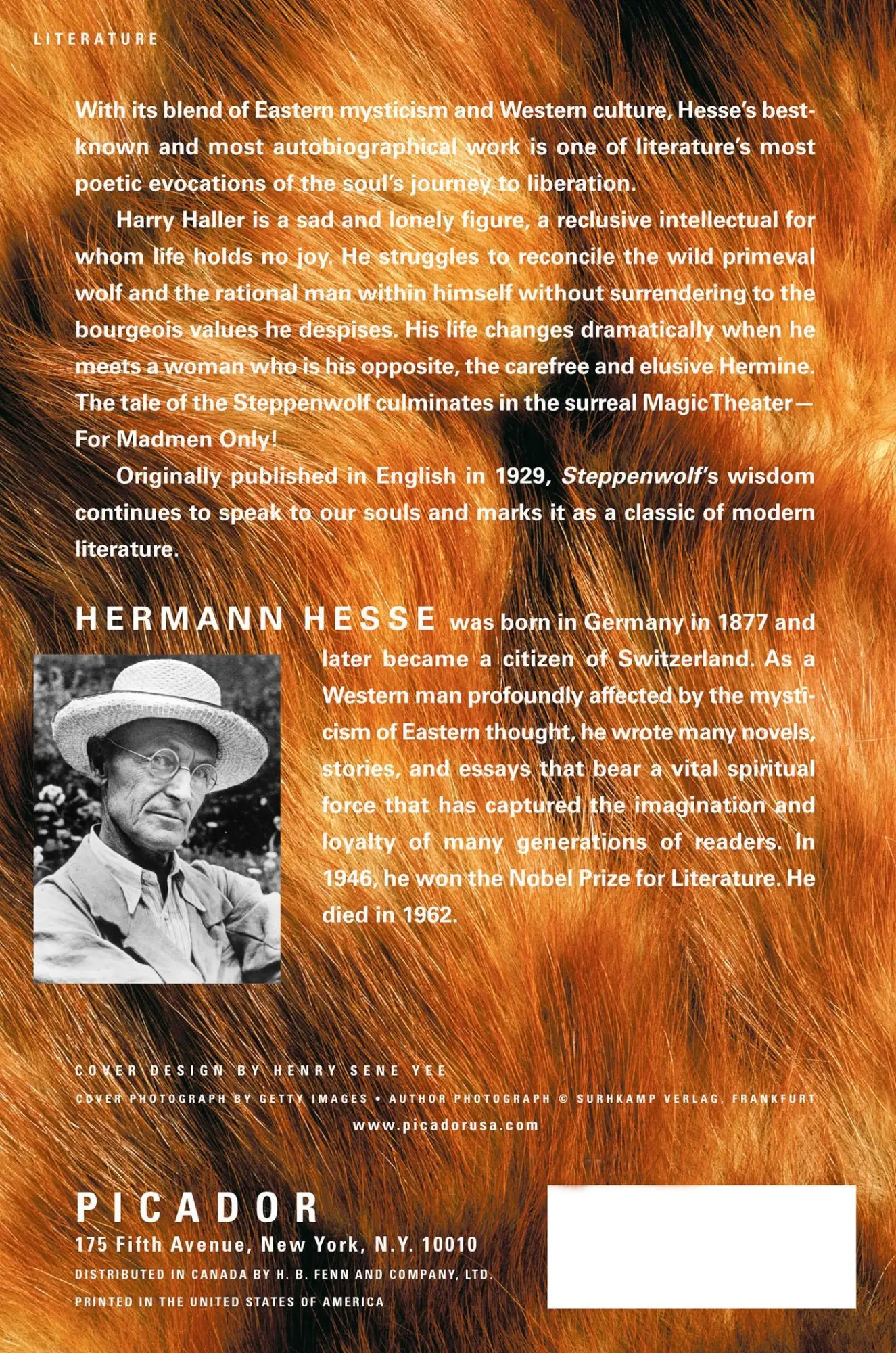 Rückseite: 9780312278670 | Steppenwolf | Hermann Hesse | Taschenbuch | Holt Paperbacks | Englisch