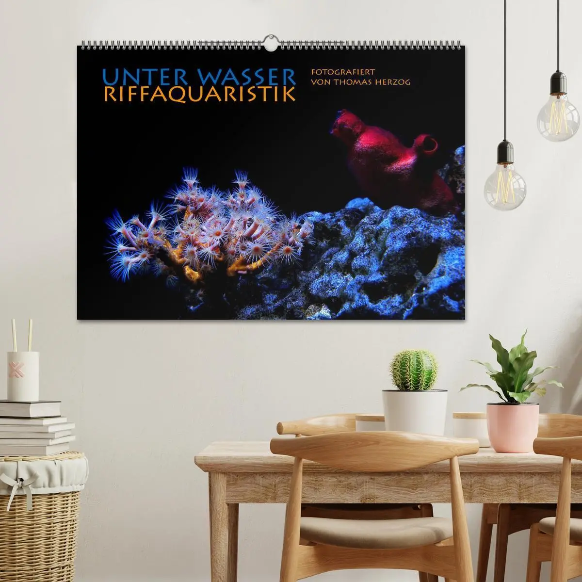 Bild: 9783516158670 | UNTER WASSER Riffaquaristik (Wandkalender 2026 DIN A2 quer),...