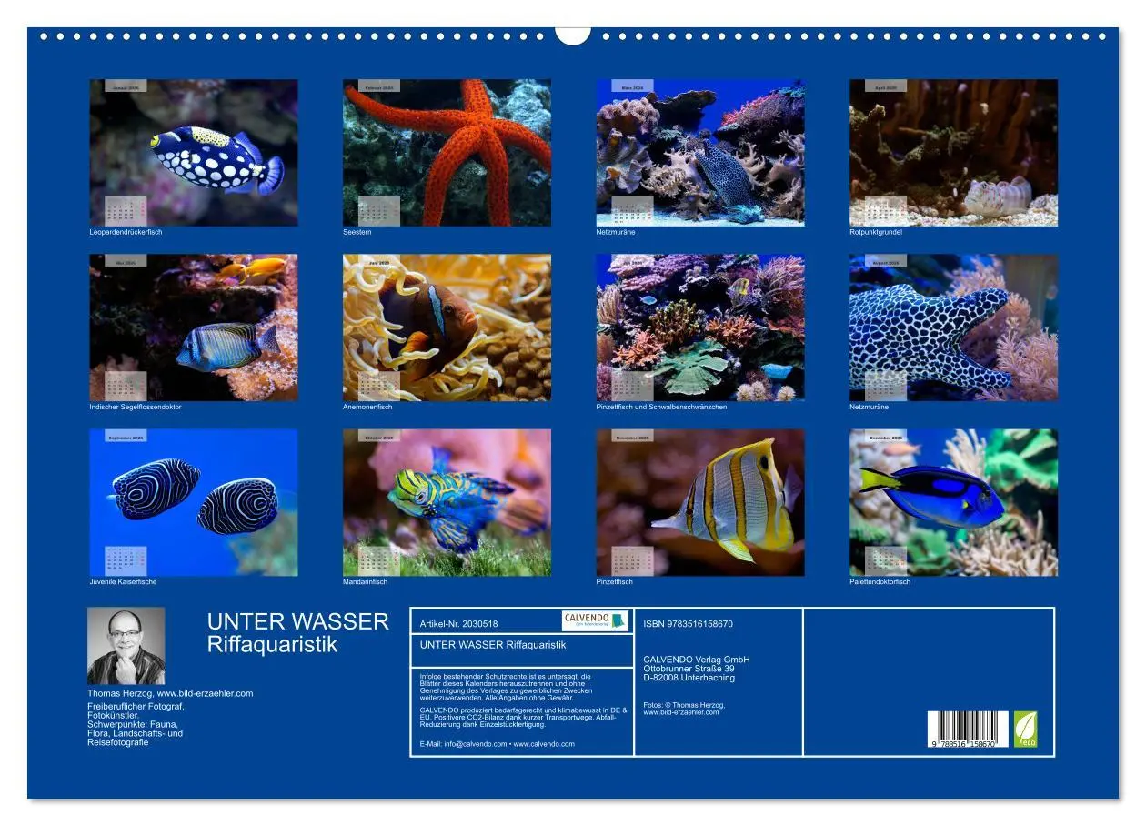 Bild: 9783516158670 | UNTER WASSER Riffaquaristik (Wandkalender 2026 DIN A2 quer),...