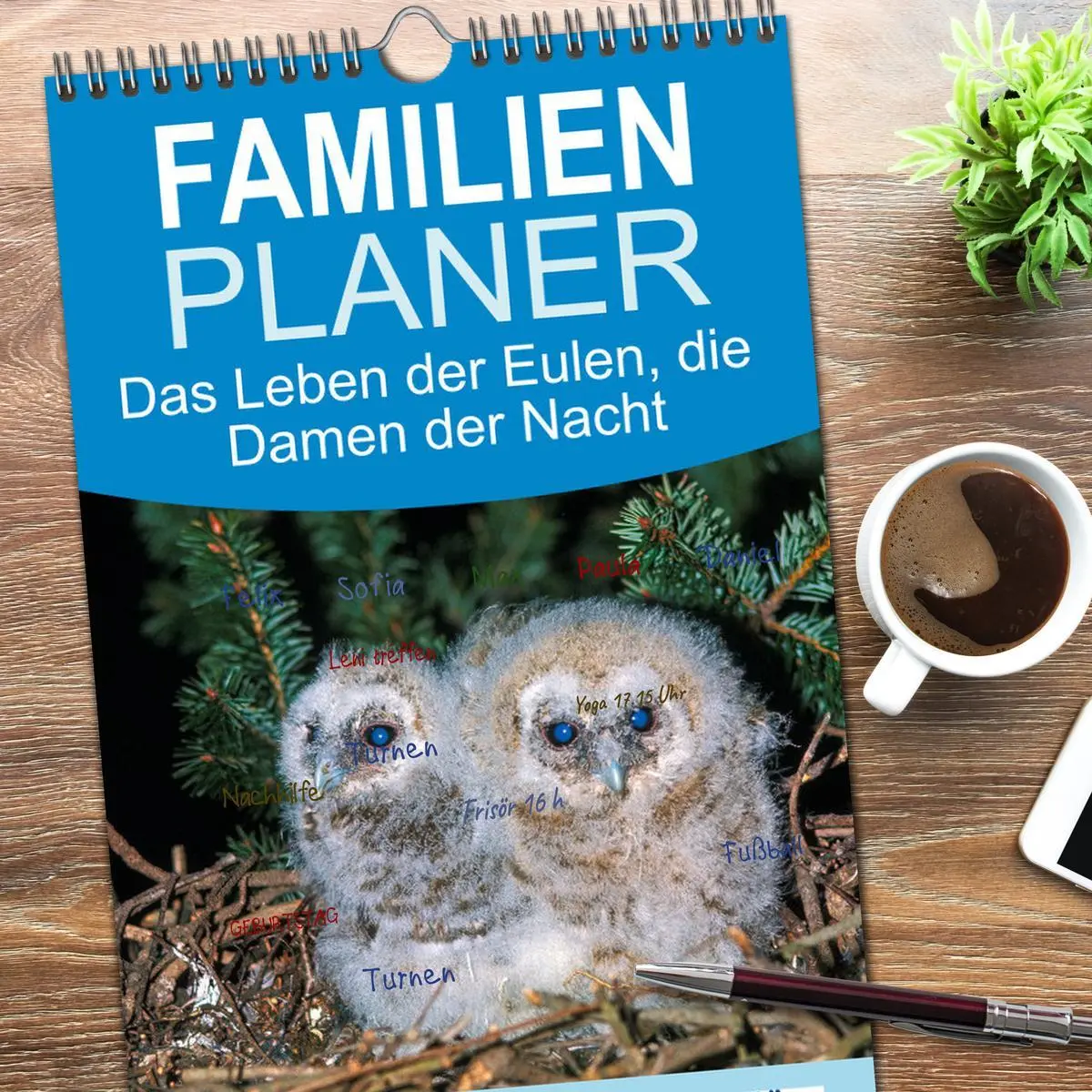 Bild: 9783516608670 | Familienplaner 2026 - Das Leben der Eulen, die Damen der Nacht mit...