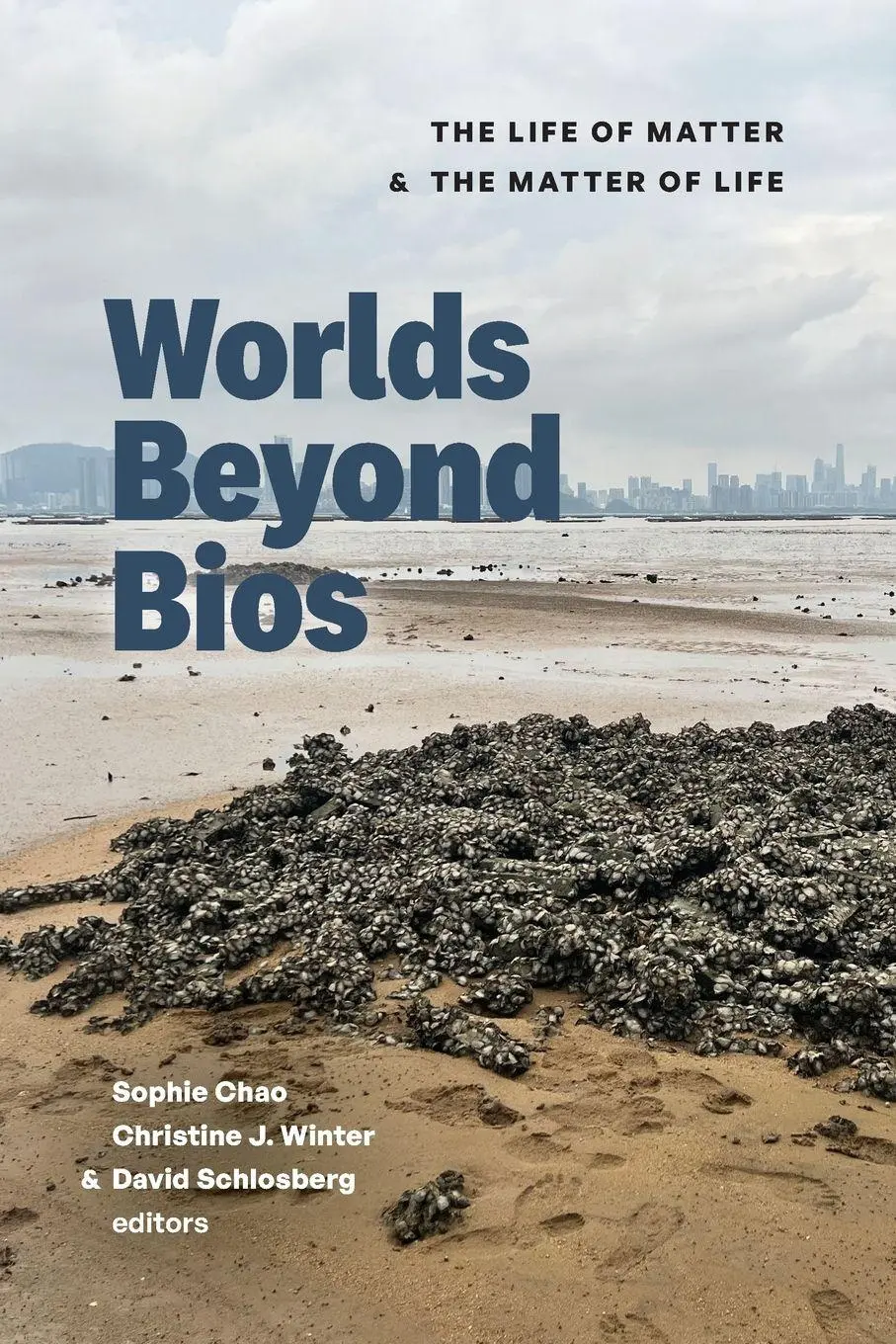 Worlds Beyond BIOS