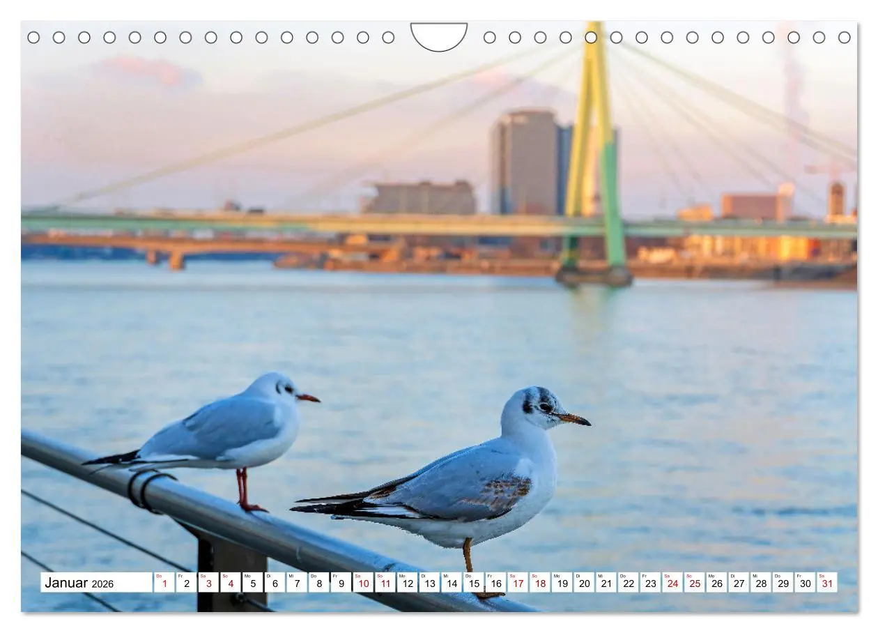 Bild: 9783457288870 | Köln - Facetten einer Stadt (Wandkalender 2026 DIN A4 quer),...