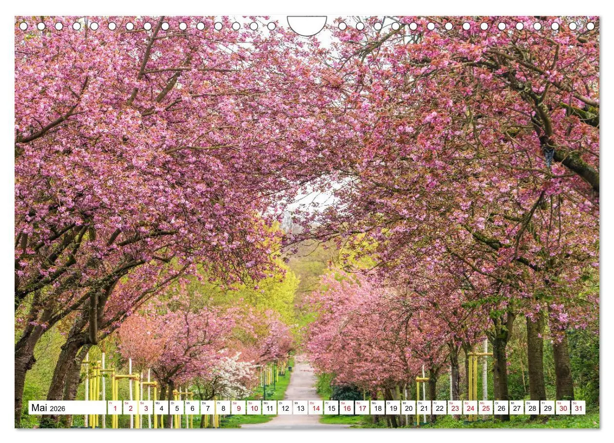 Bild: 9783457288870 | Köln - Facetten einer Stadt (Wandkalender 2026 DIN A4 quer),...